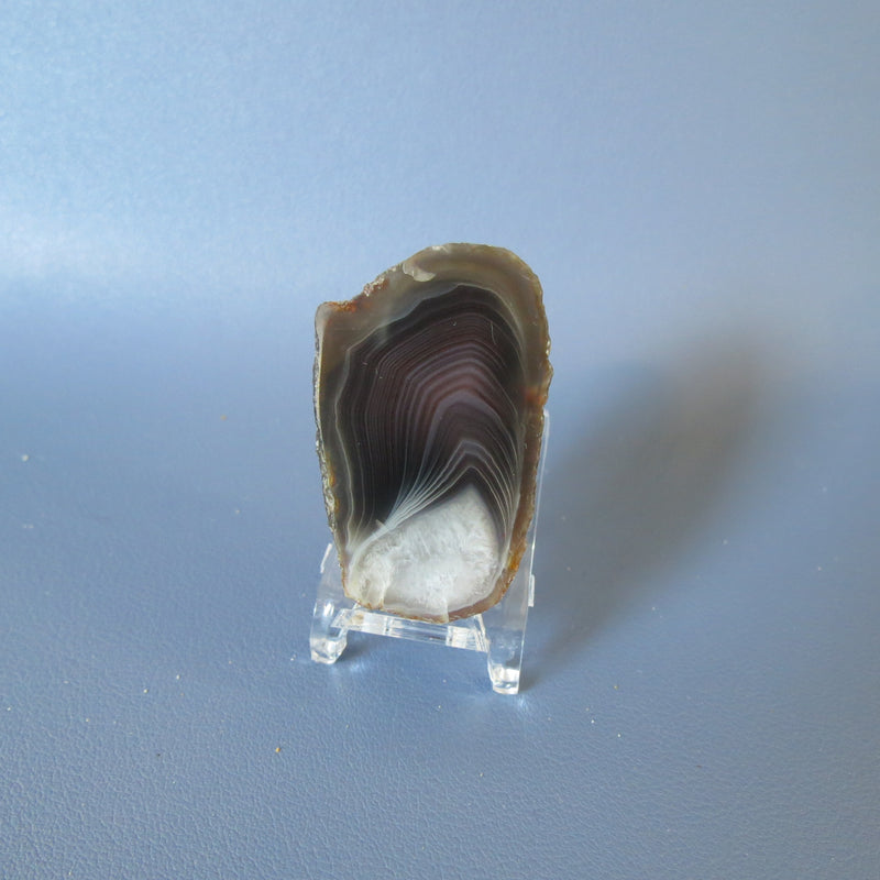 Botswana Agate - Dark Beauty - Aga29a