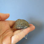 Botswana Agate - Dark Beauty - Aga29a