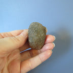 Botswana Agate - Dark Beauty - Aga29a
