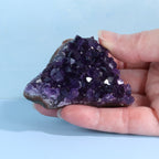 Uruguay Amethyst Crystal Cluster - Deep Rich Purple (50)