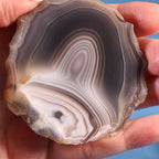 Botswana Agate - Parallax Banding (56)