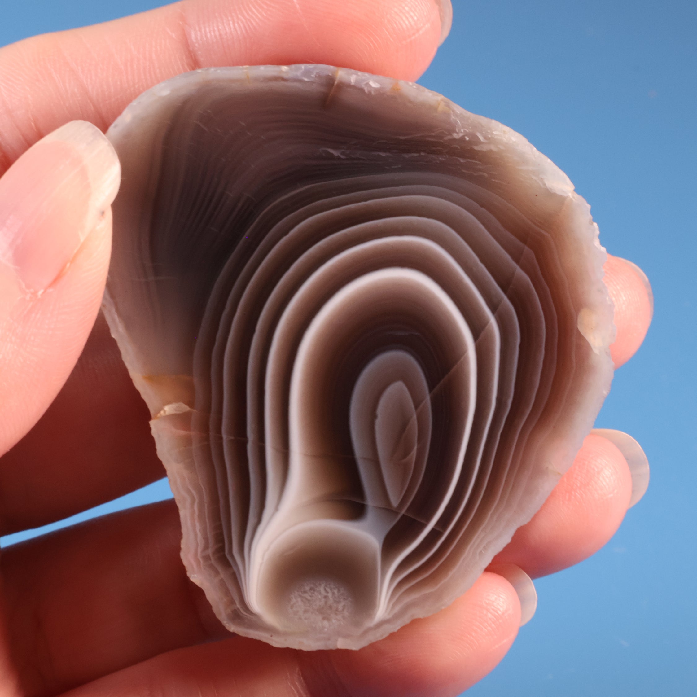 Botswana Agate - Vibrant Earthy Parallax Bands (59)