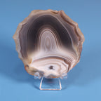 botswana agate parallax shadow banding