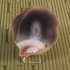 botswana agate 