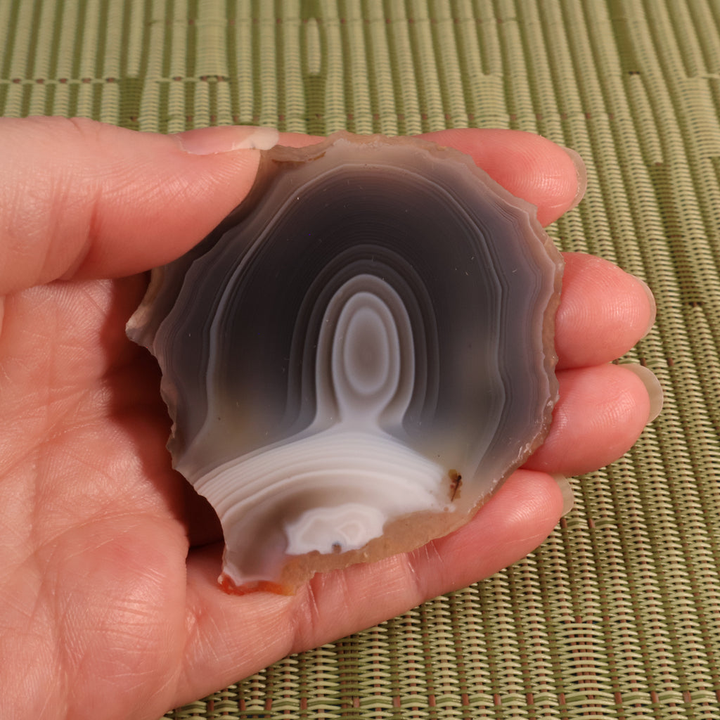Hand holding a polished botswana agate stone with concentric patterns against a green woven mat background