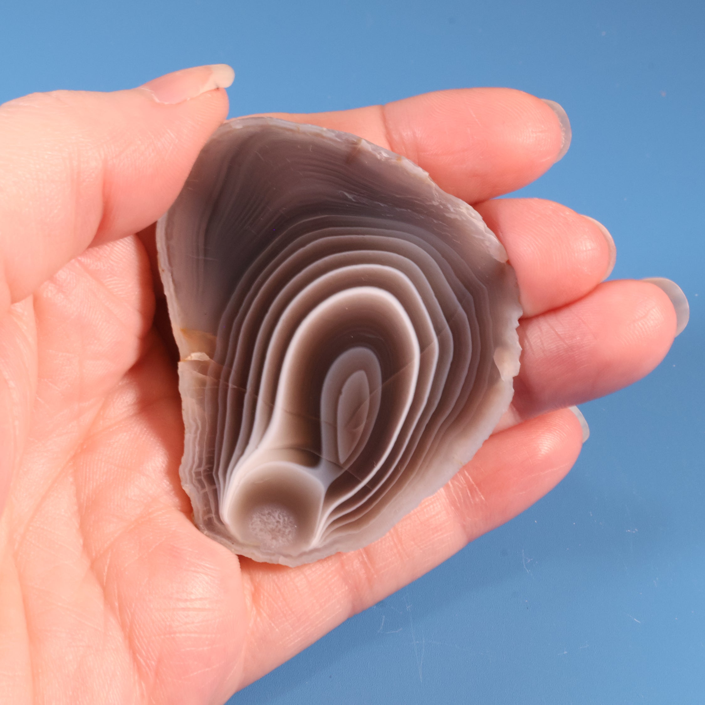 botswana agate