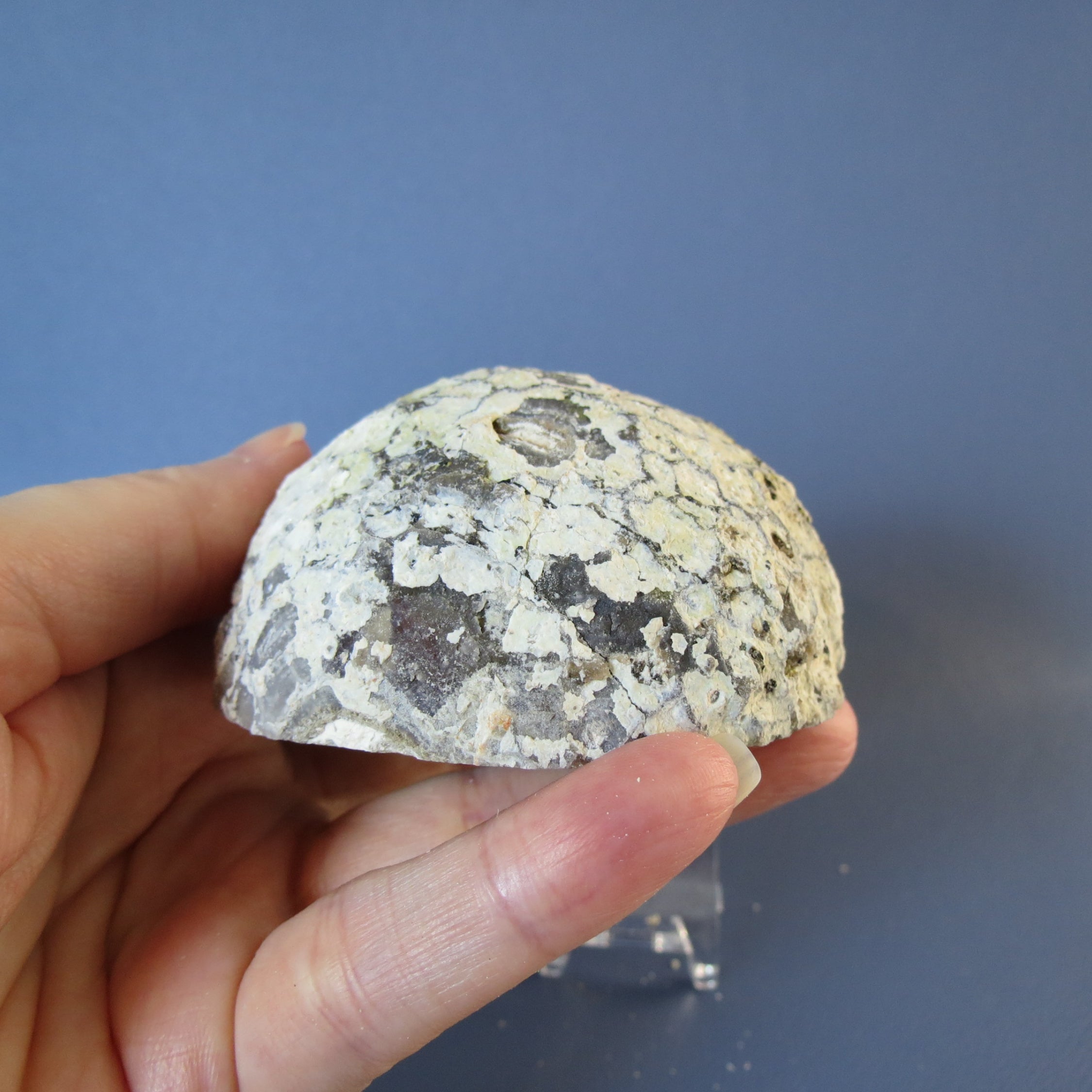 Coconut Geode, Las Choyas - Jasper and Quartz Crystals - Coco28a