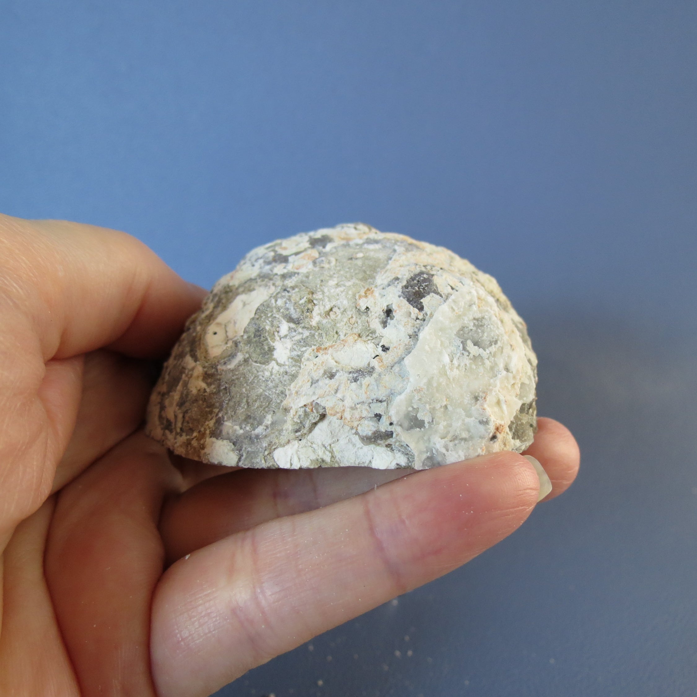Coconut Geode, Las Choyas - Jasper and Quartz Crystals - Coco28b