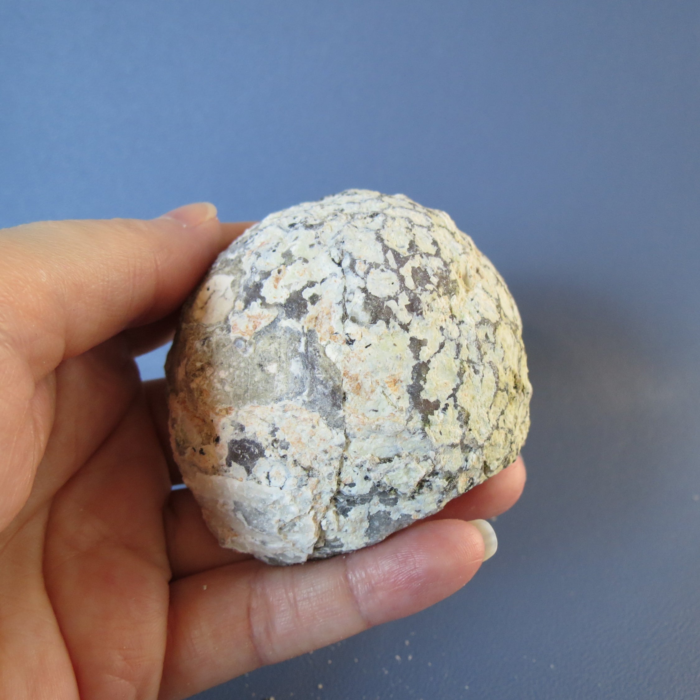 Coconut Geode, Las Choyas - Jasper and Quartz Crystals - Coco28b