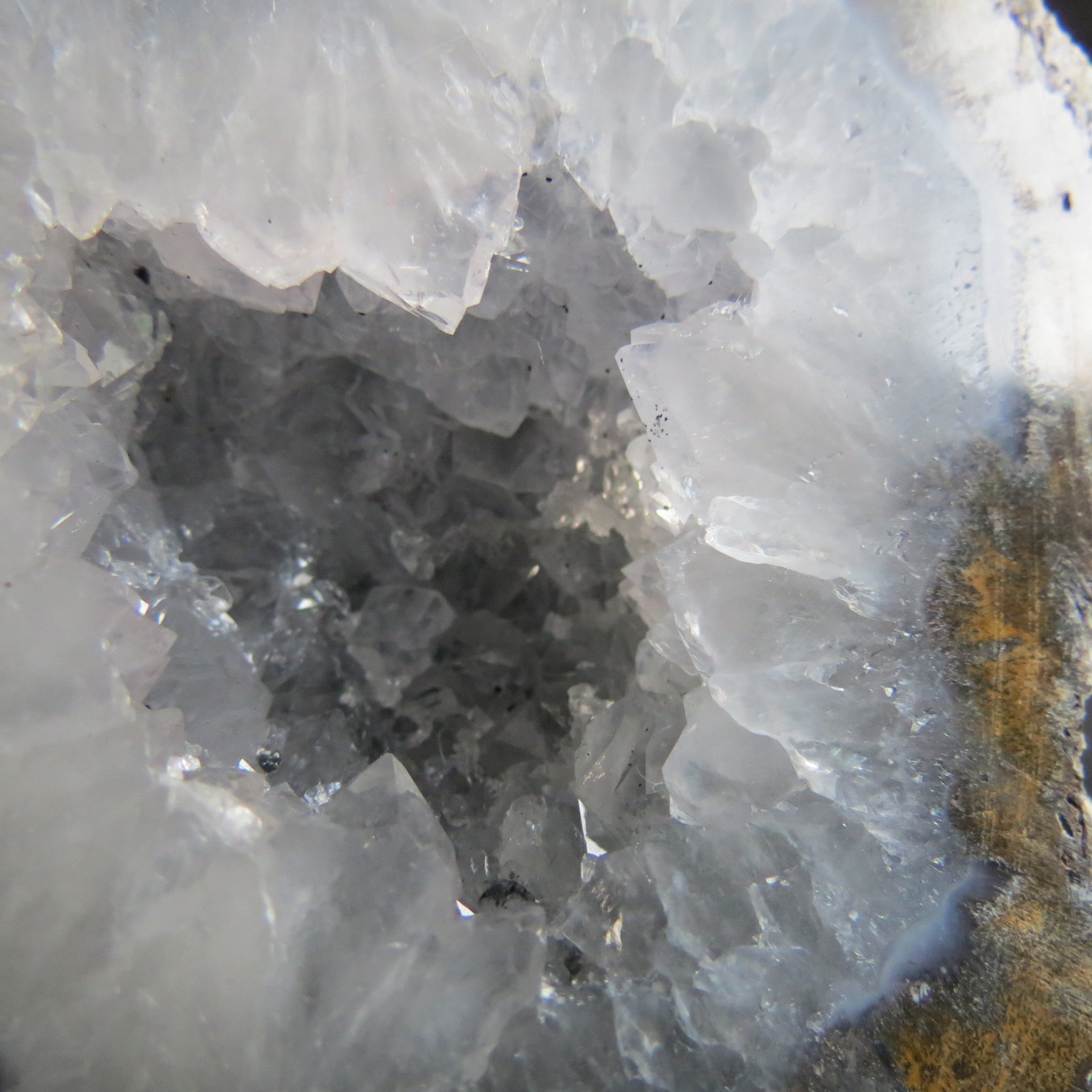 Coconut Geode - Coco2a - Quartz and Siderite