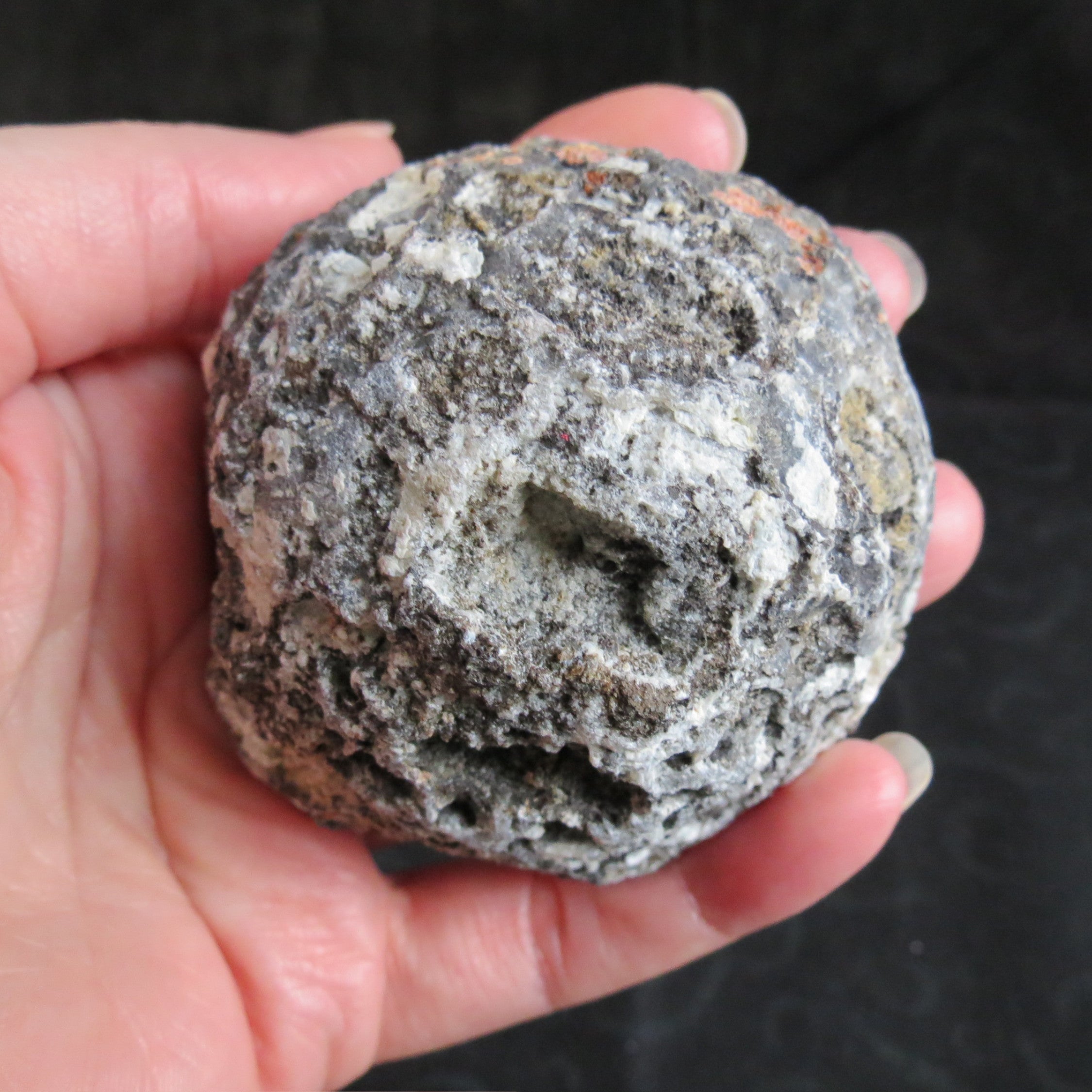 Coconut Geode - Coco2a - Quartz and Siderite