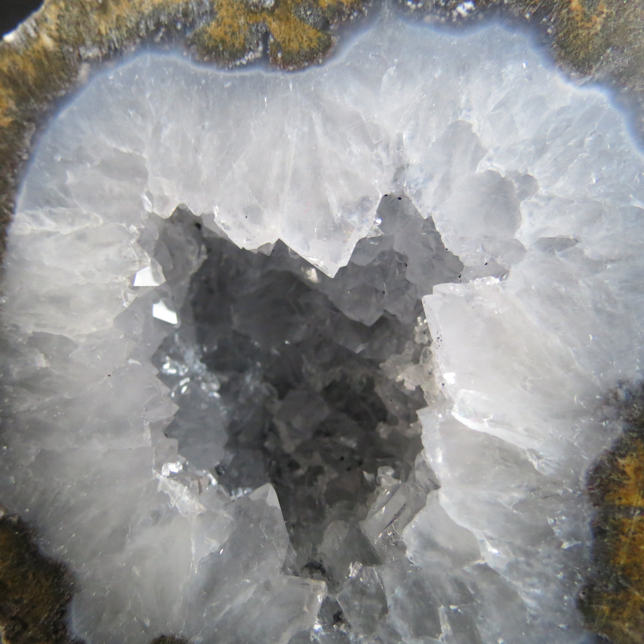 Coconut Geode - Coco2a - Quartz and Siderite