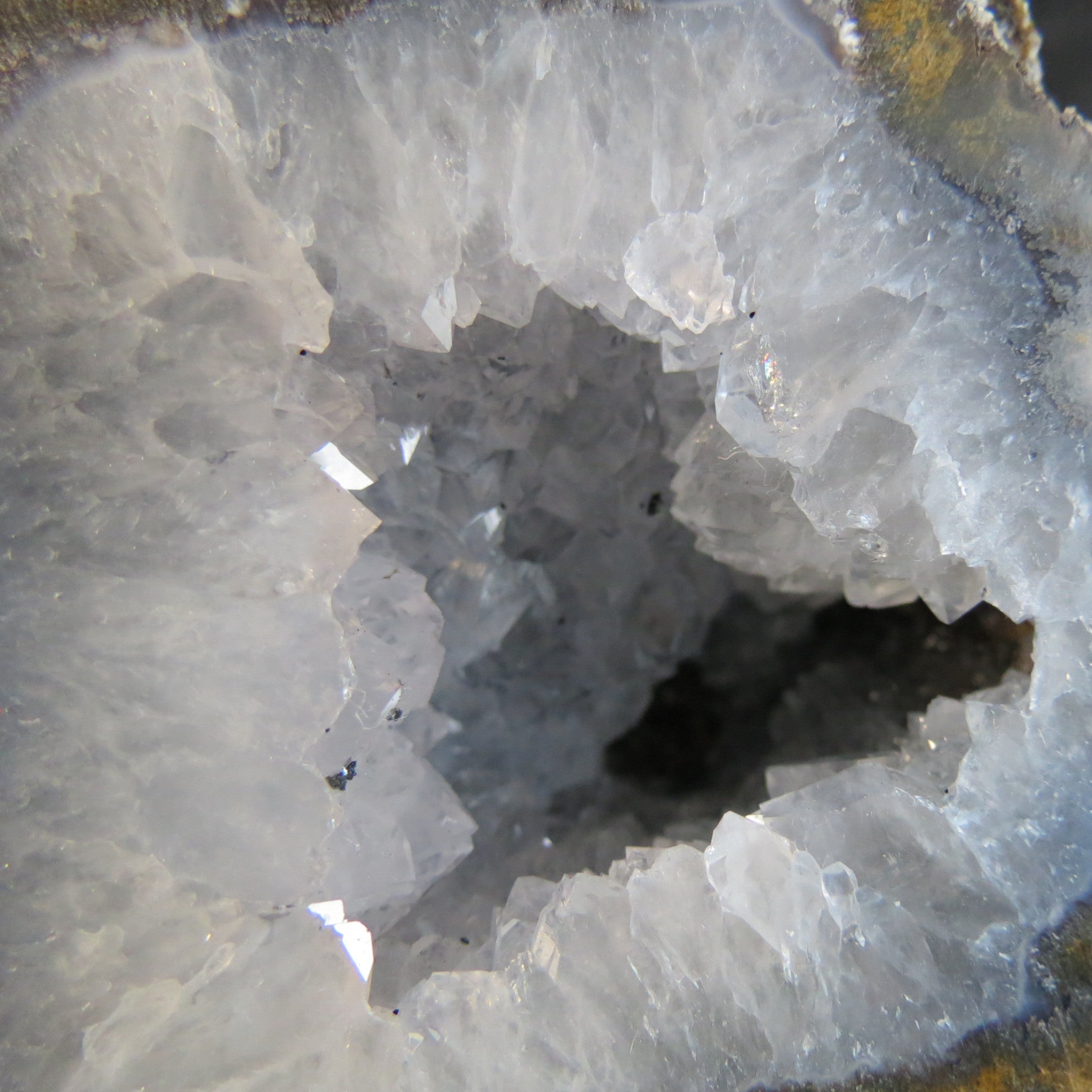 Coconut Geode - Coco2b - Quartz Crystals & Siderite