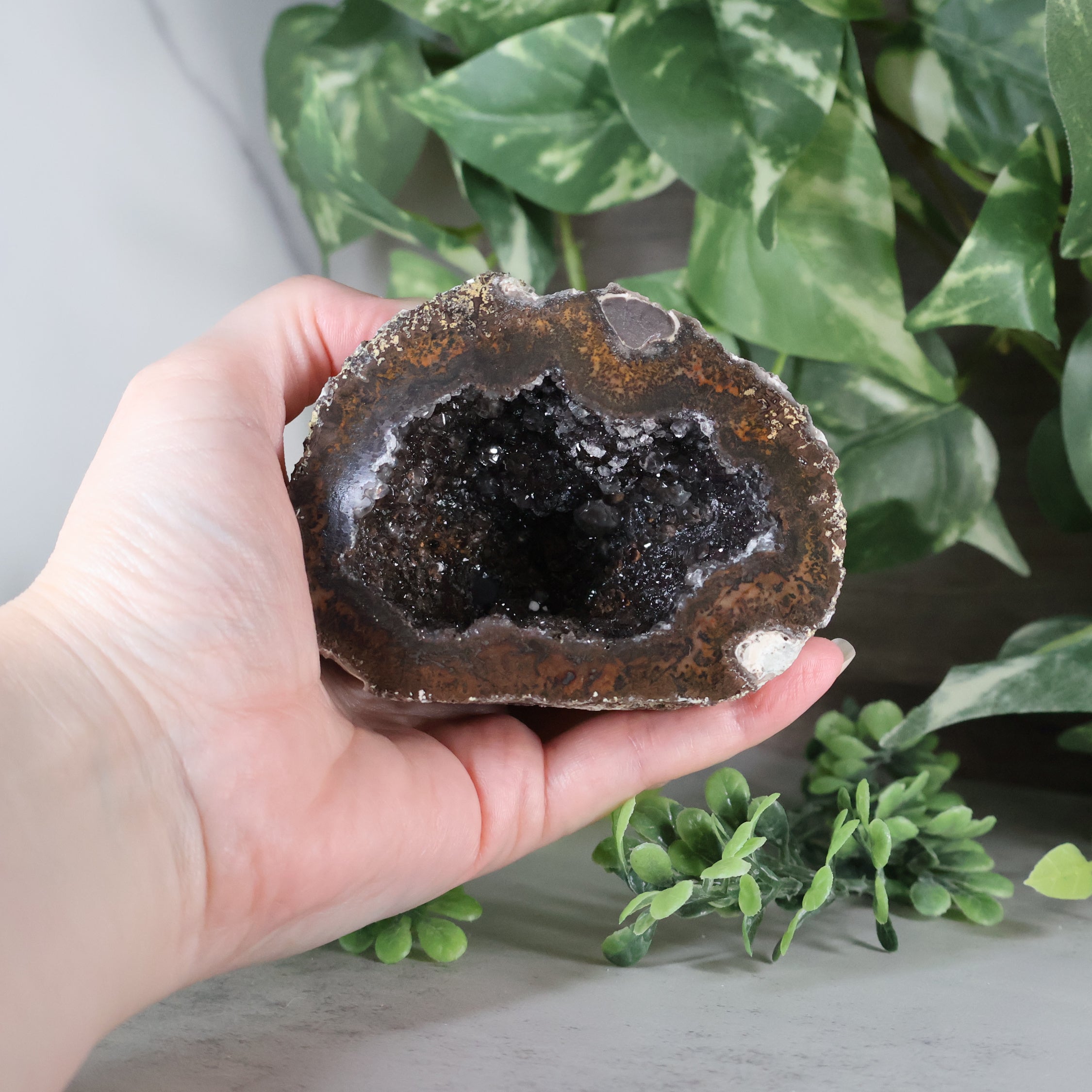 Las Choyas Coconut Geode - Smokey Quartz and Calcite