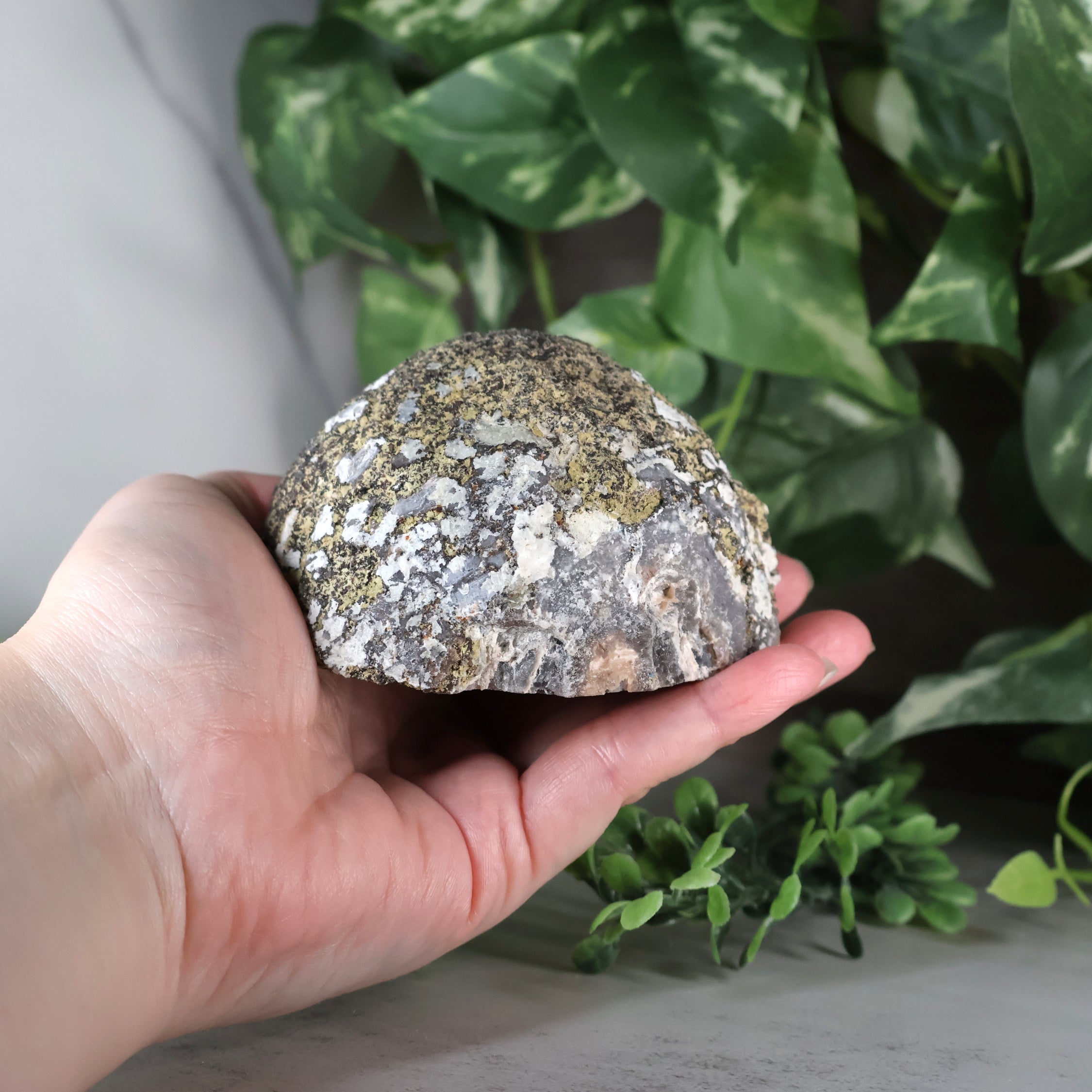 Las Choyas Coconut Geode - Smokey Quartz and Calcite