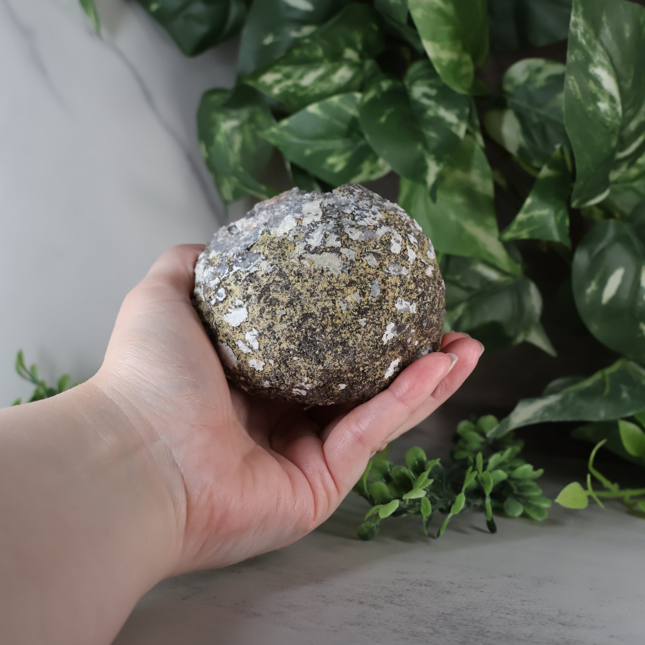 Las Choyas Coconut Geode - Smokey Quartz and Calcite