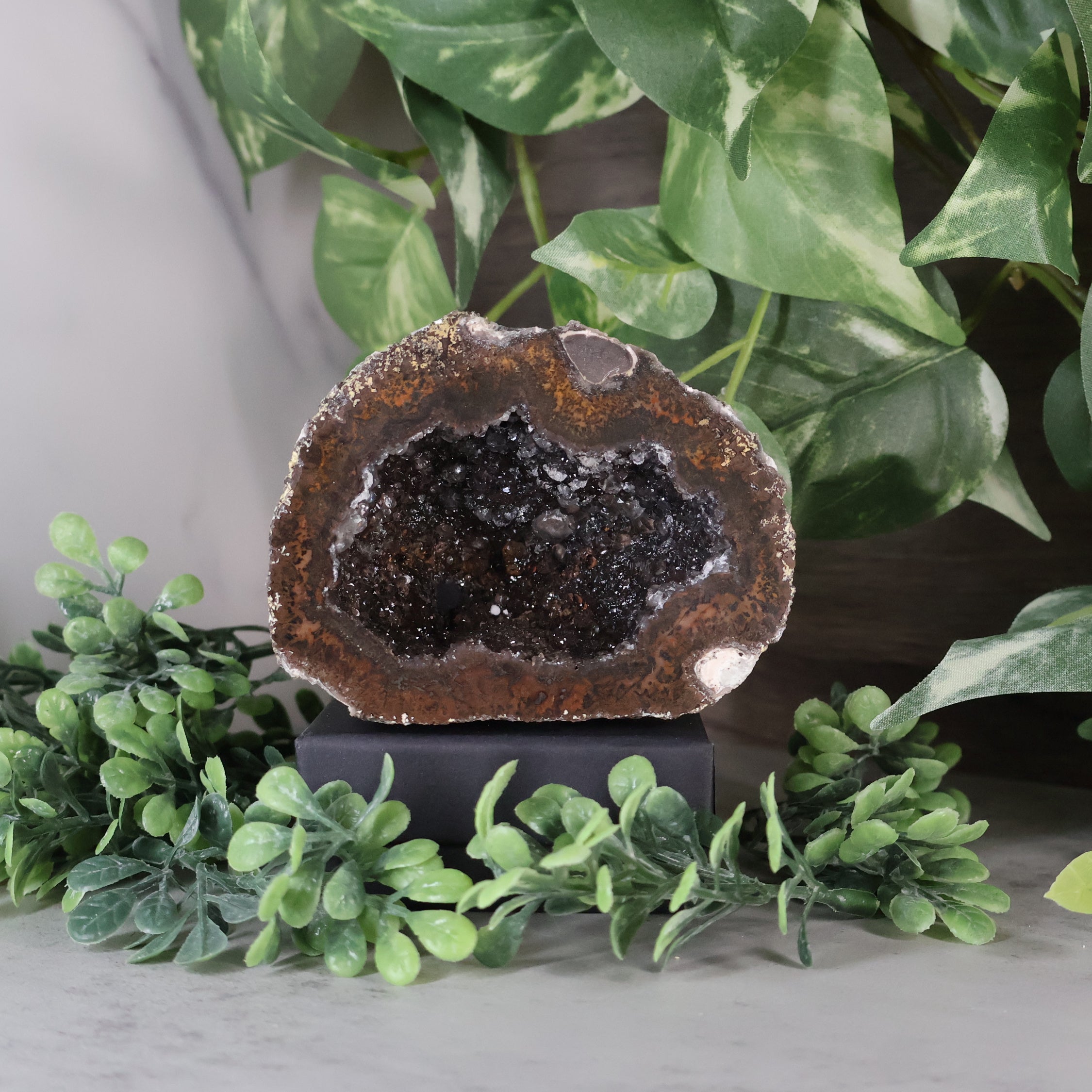 Las Choyas Coconut Geode - Smokey Quartz and Calcite