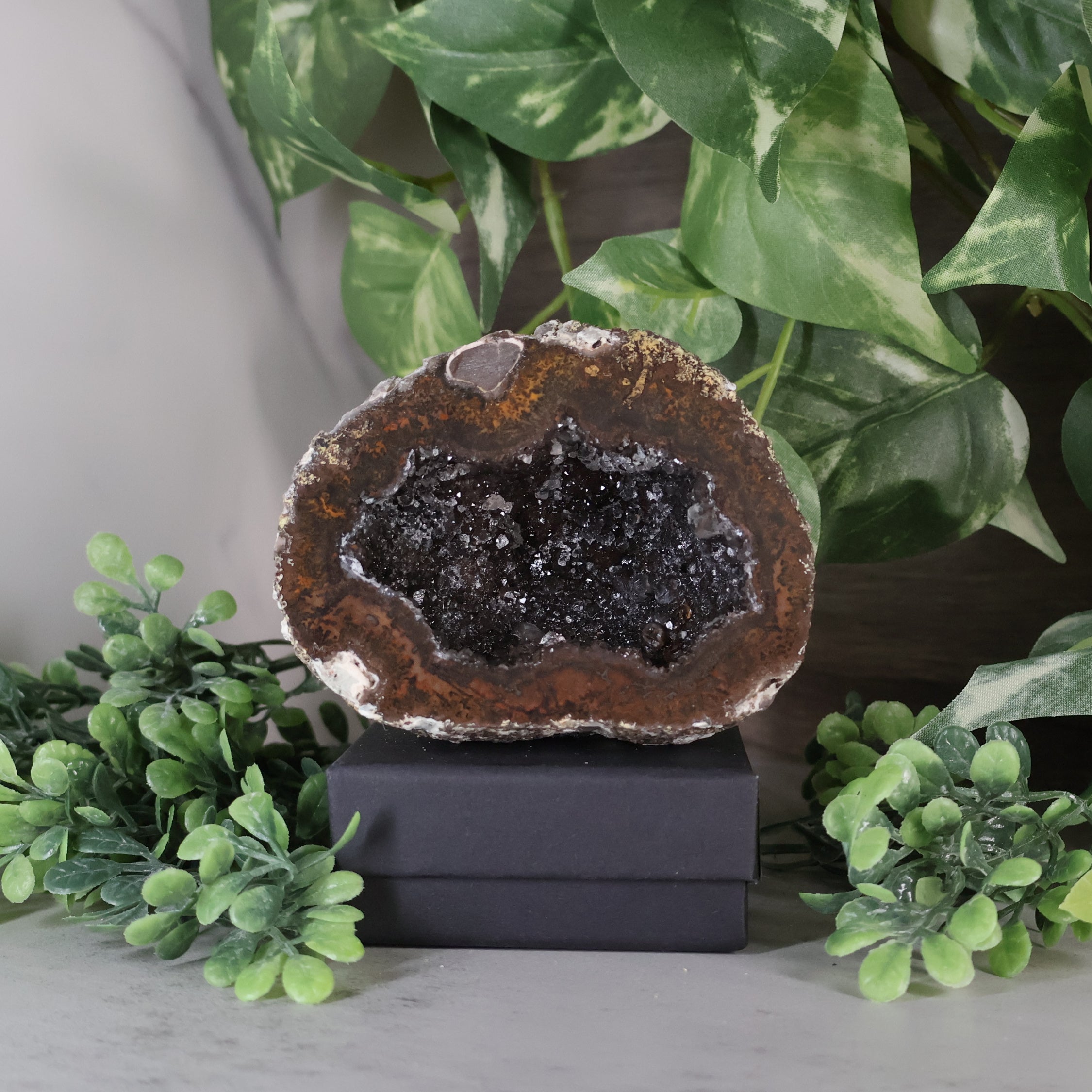 Las Choyas Coconut Geode - Smokey Quartz and Calcite