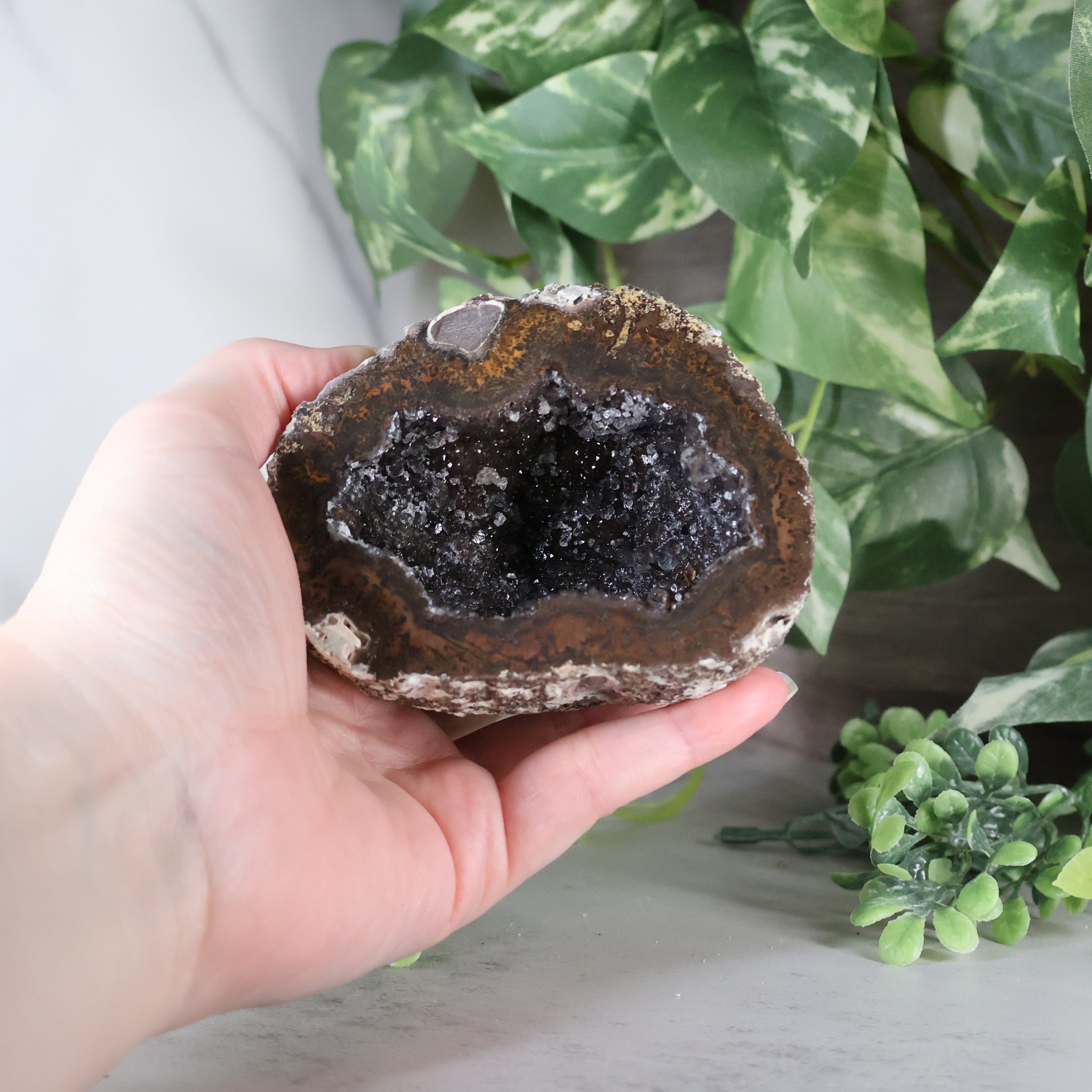 Las Choyas Coconut Geode - Smokey Quartz and Calcite