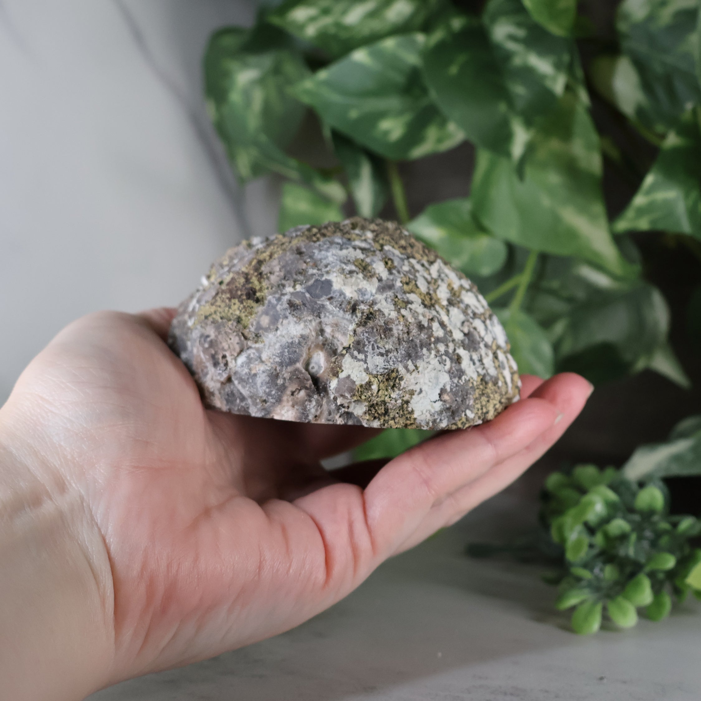 Las Choyas Coconut Geode - Smokey Quartz and Calcite