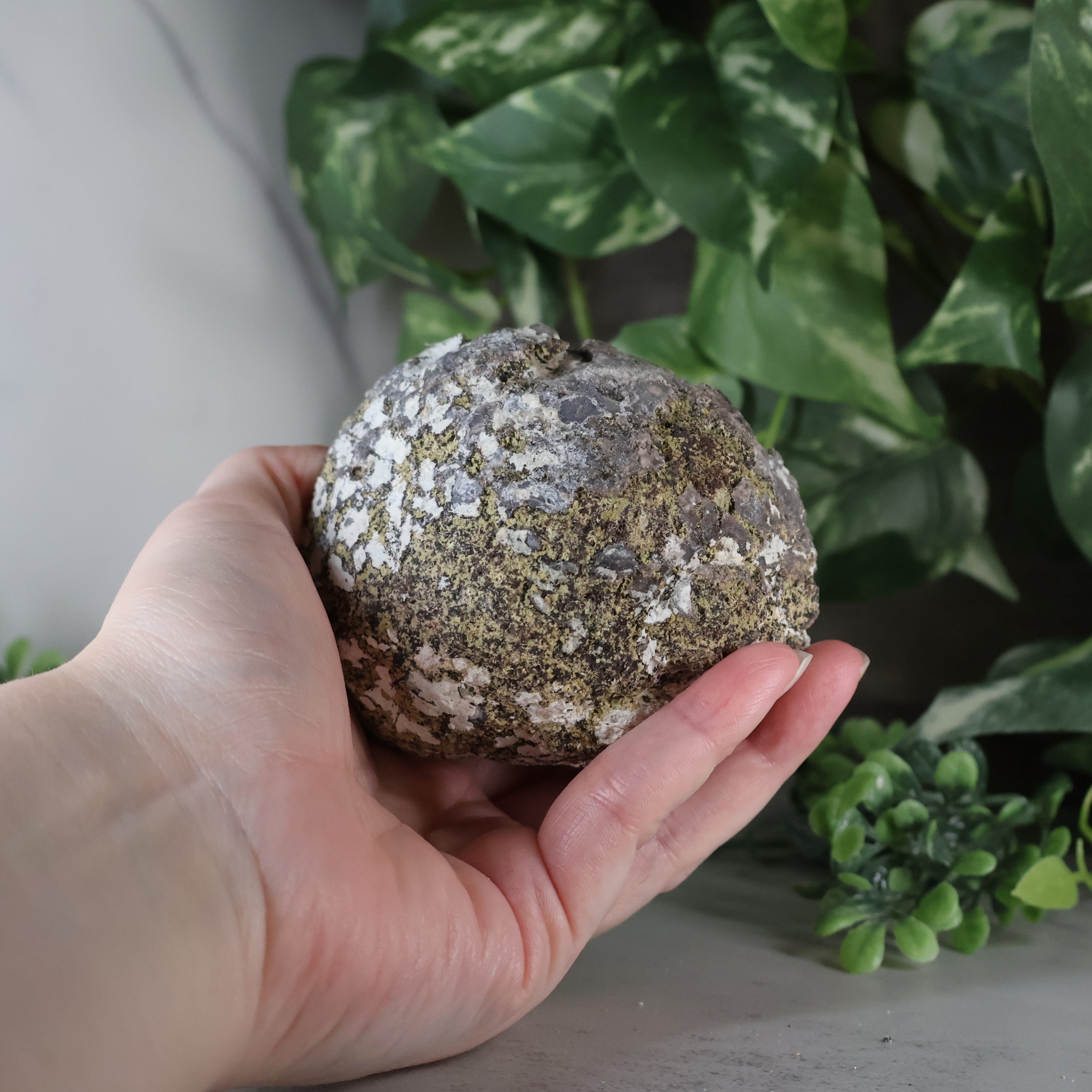 Las Choyas Coconut Geode - Smokey Quartz and Calcite