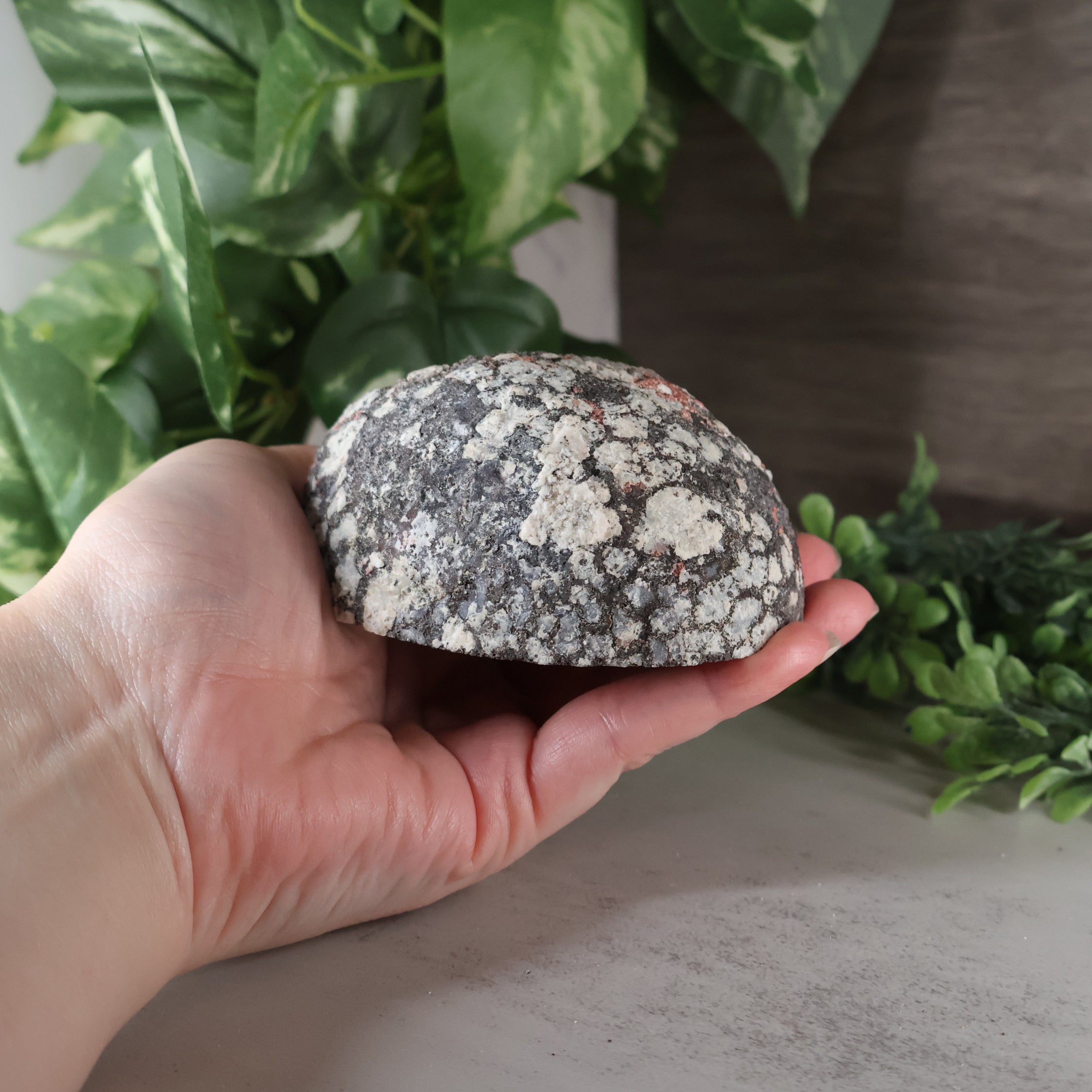 Hand holding a textured stone with green plants in the background