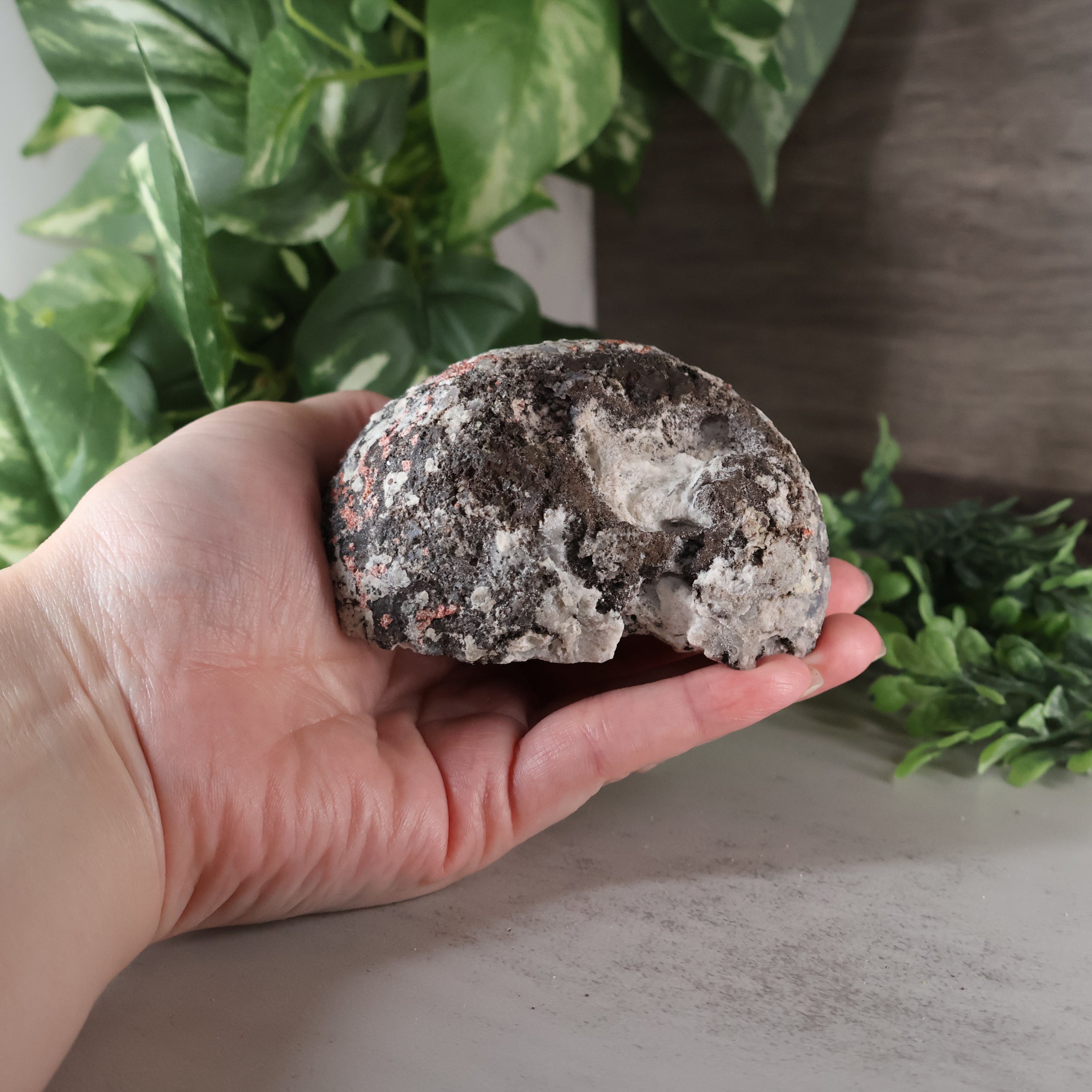 Las Choyas Coconut Geode - Quartz and Calcite