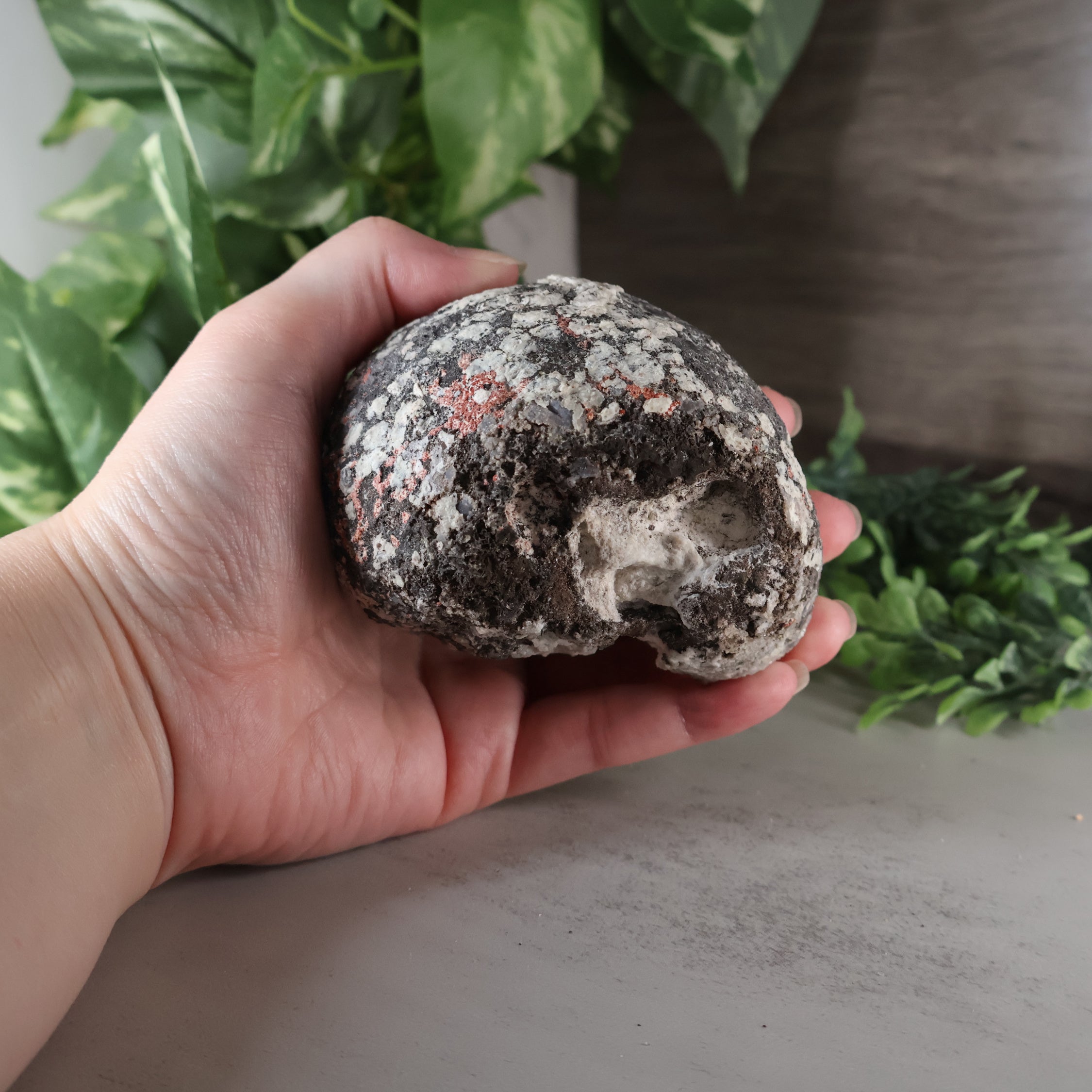 Las Choyas Coconut Geode - Quartz and Calcite