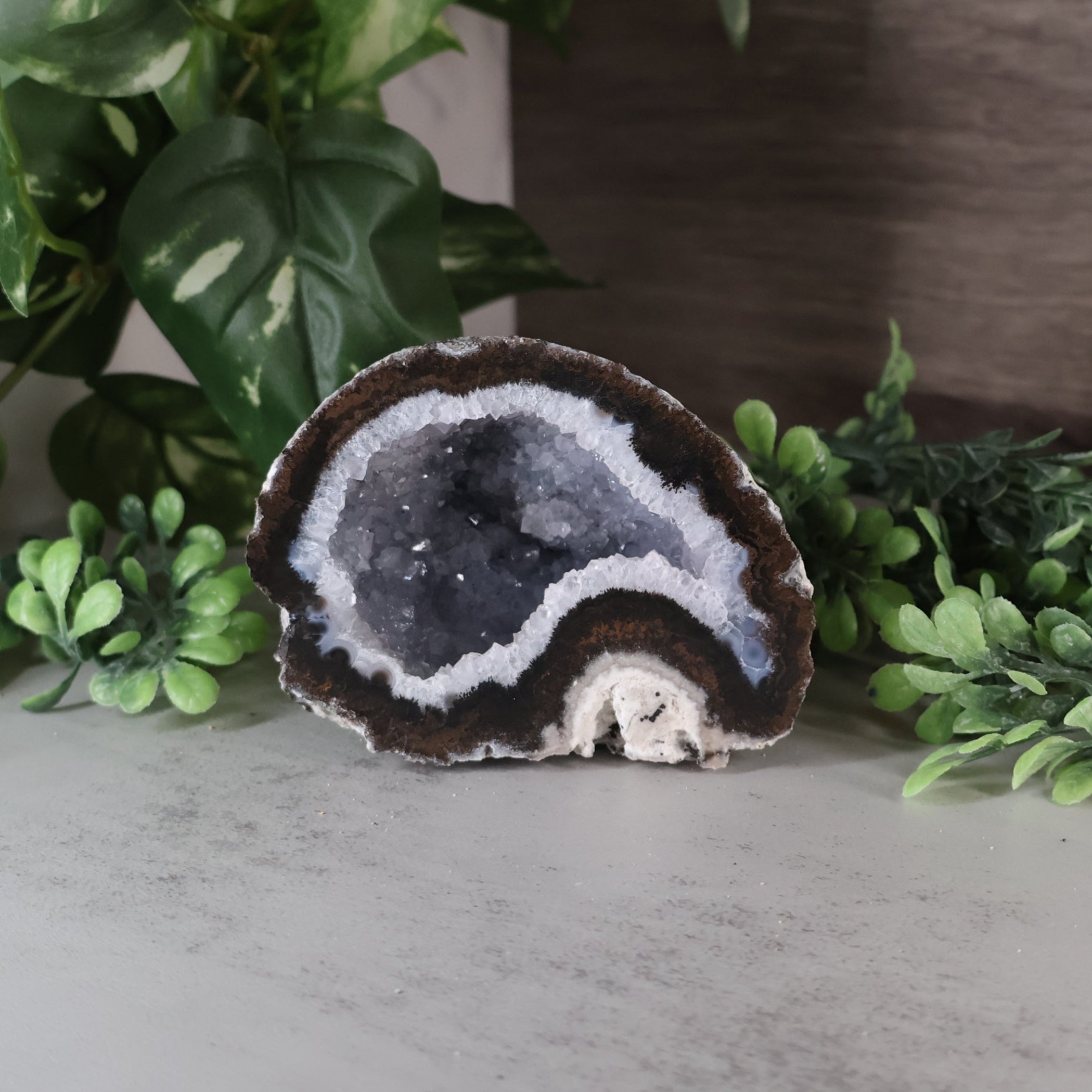 Geode crystal with layered patterns on a light surface surrounded by green plants
