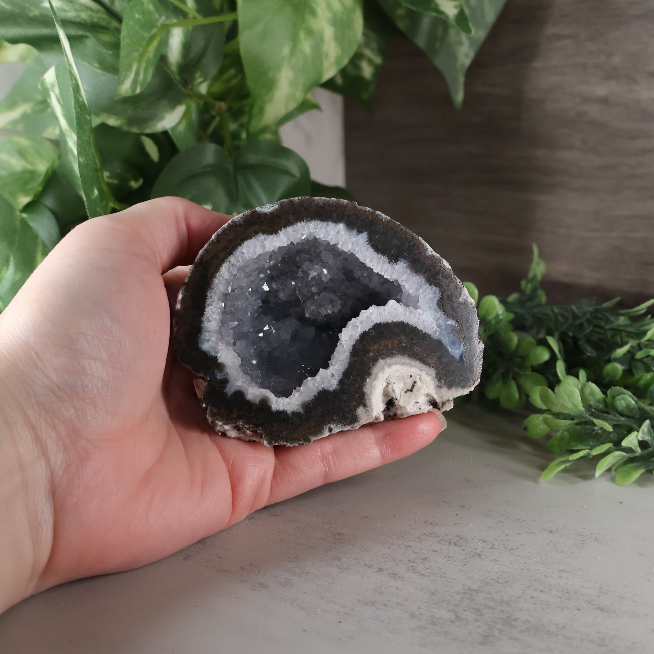 Hand holding a geode crystal with green foliage in the background