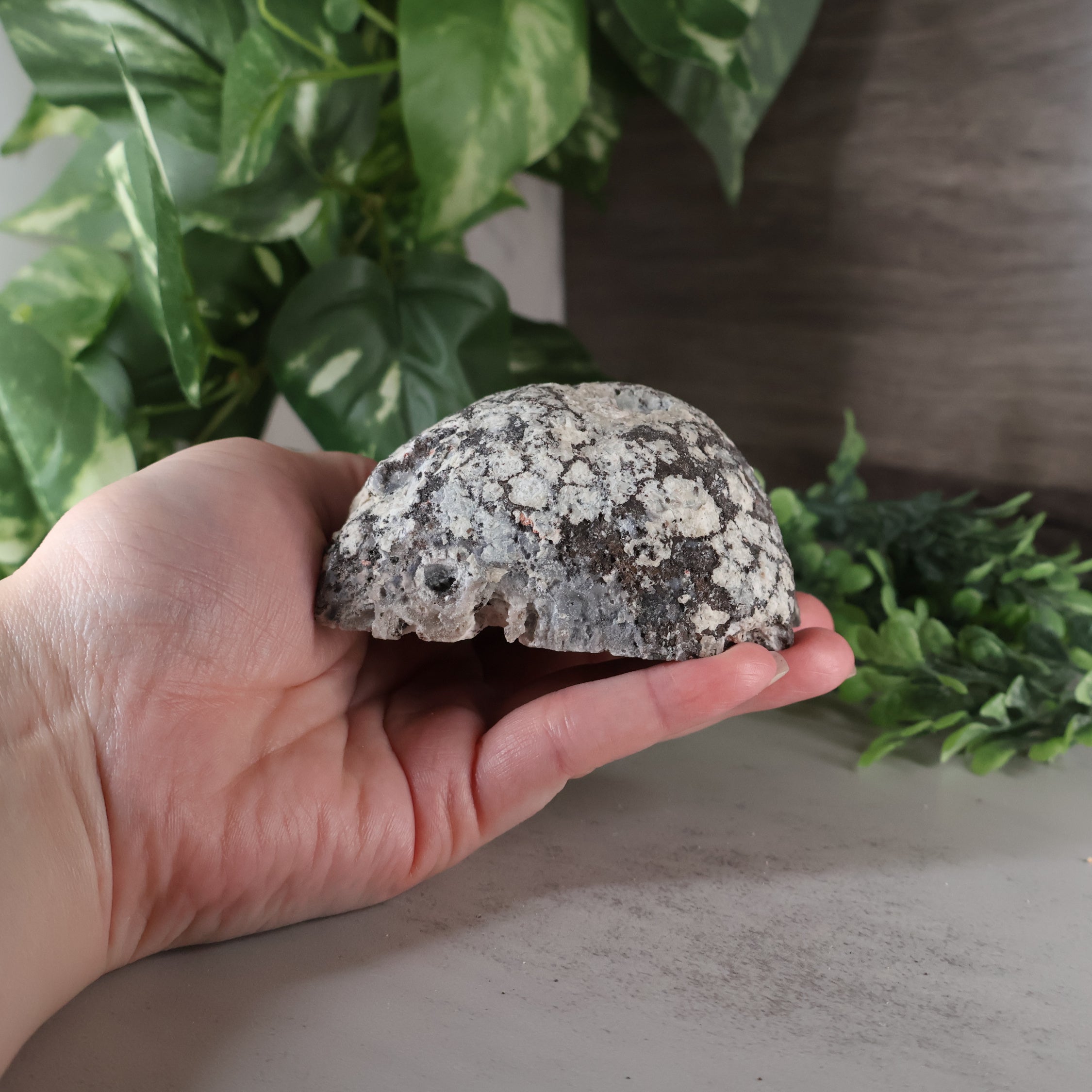 Las Choyas Coconut Geode - Quartz Crystals with Blue Agate Backing.