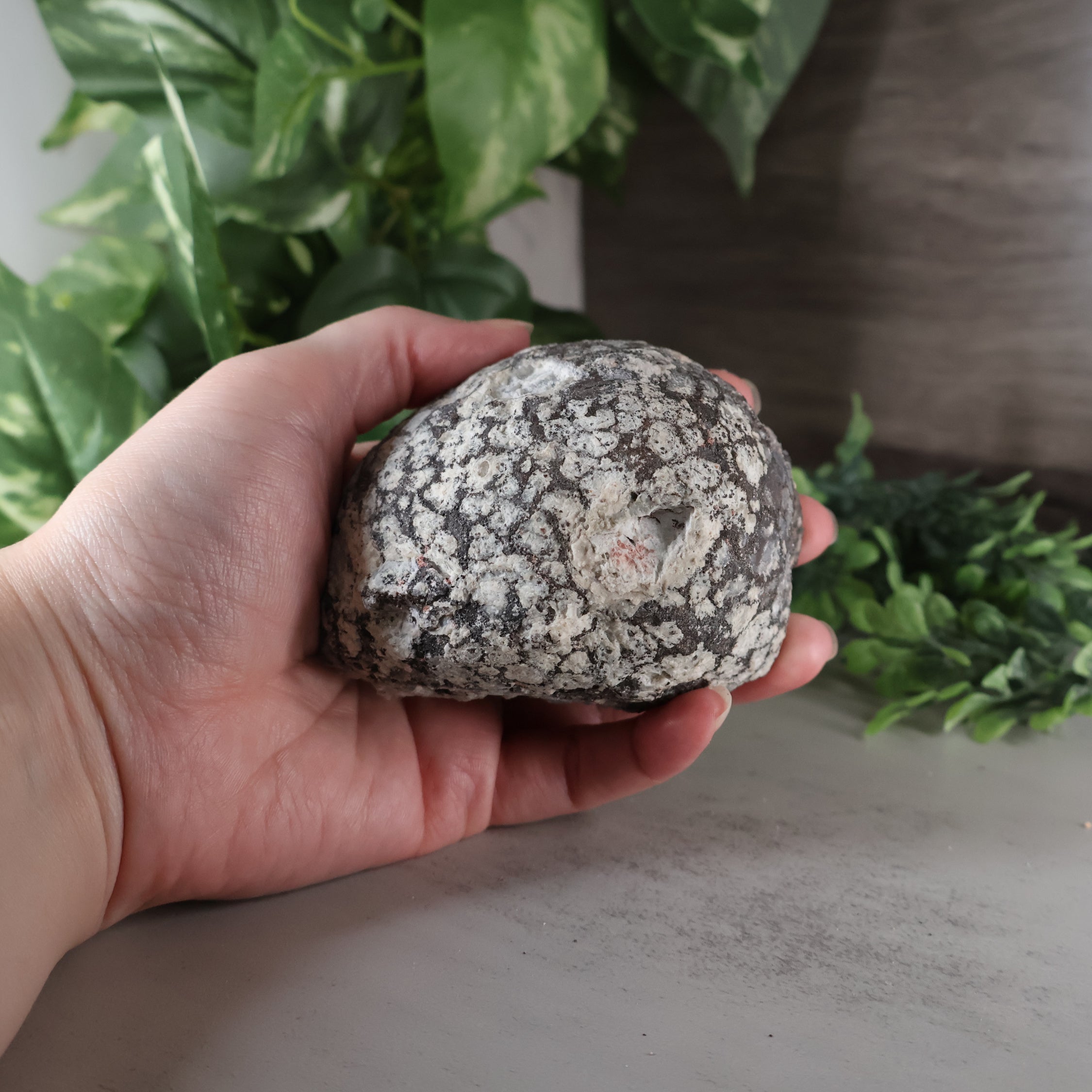 Las Choyas Coconut Geode - Quartz Crystals with Blue Agate Backing.