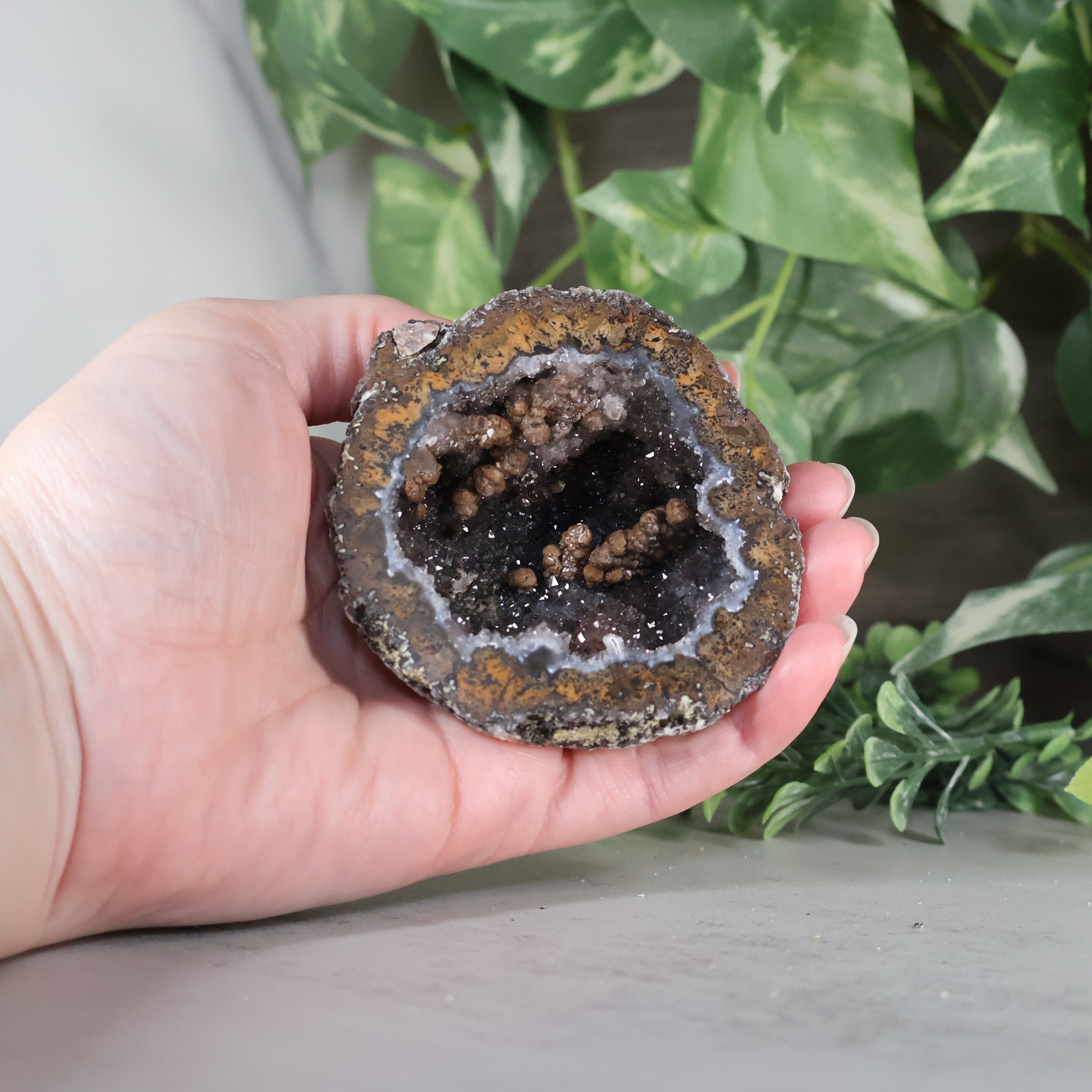 Las Choyas Coconut Geode - Sugar Quartz - Goethite