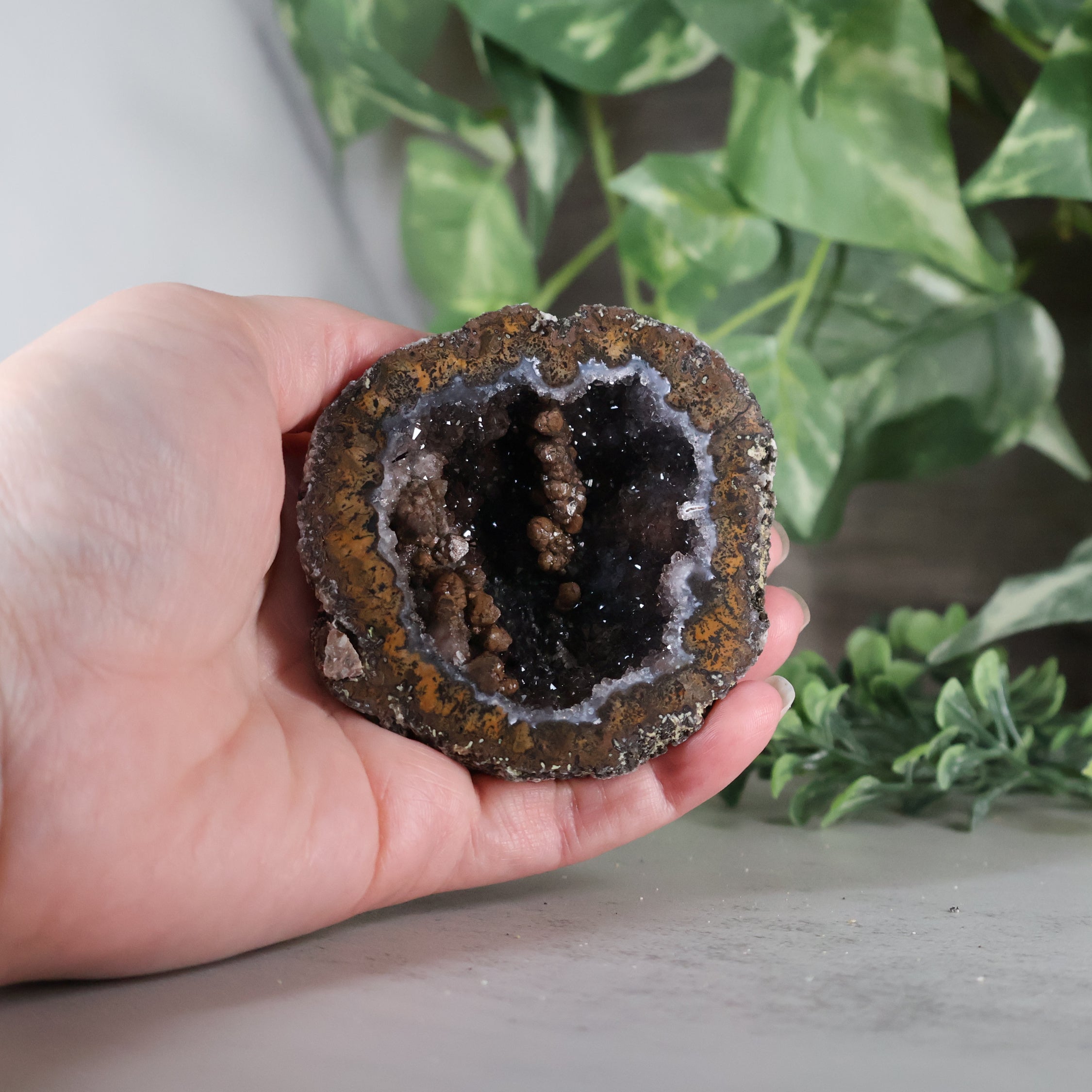Las Choyas Coconut Geode - Sugar Quartz - Goethite