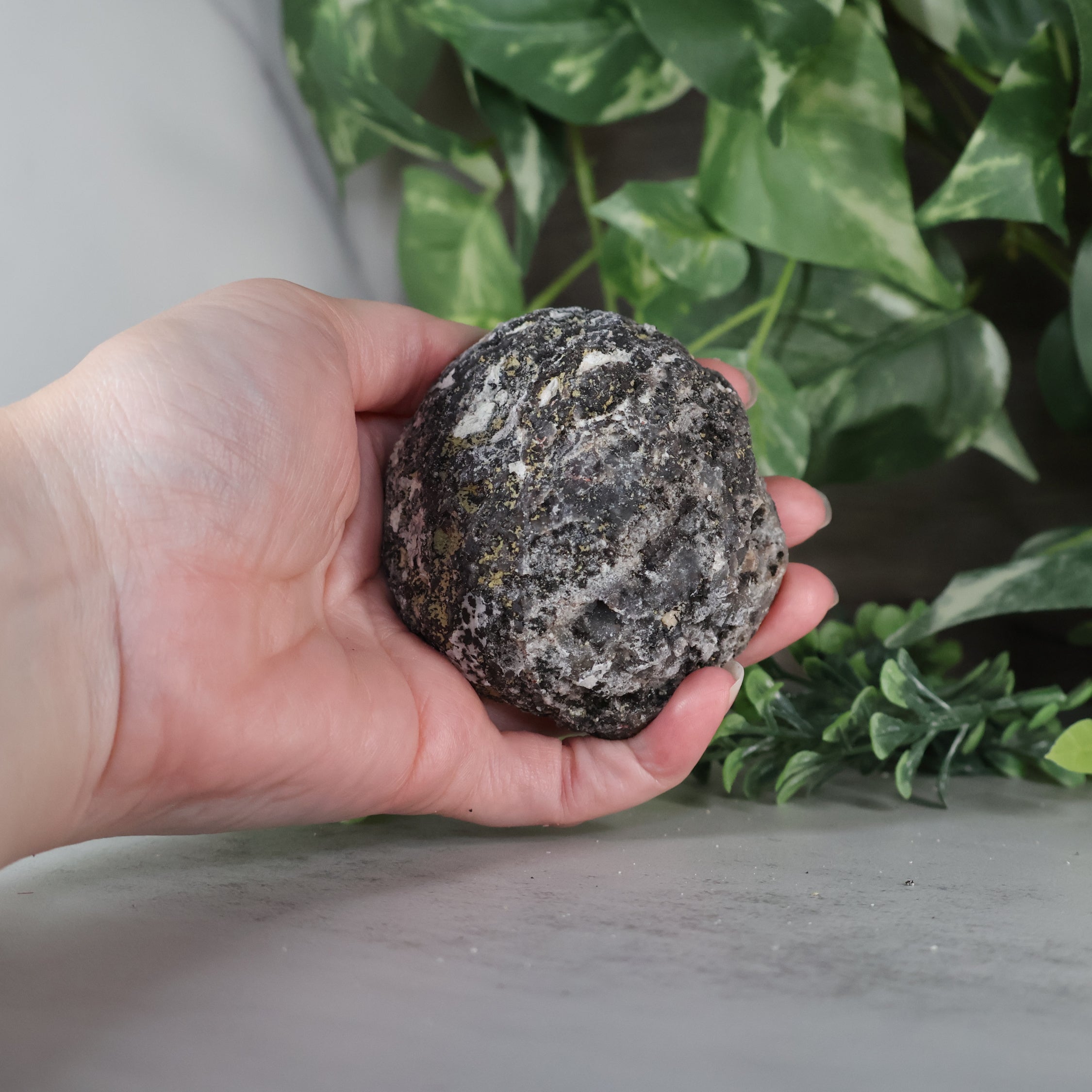 Las Choyas Coconut Geode - Sugar Quartz - Goethite