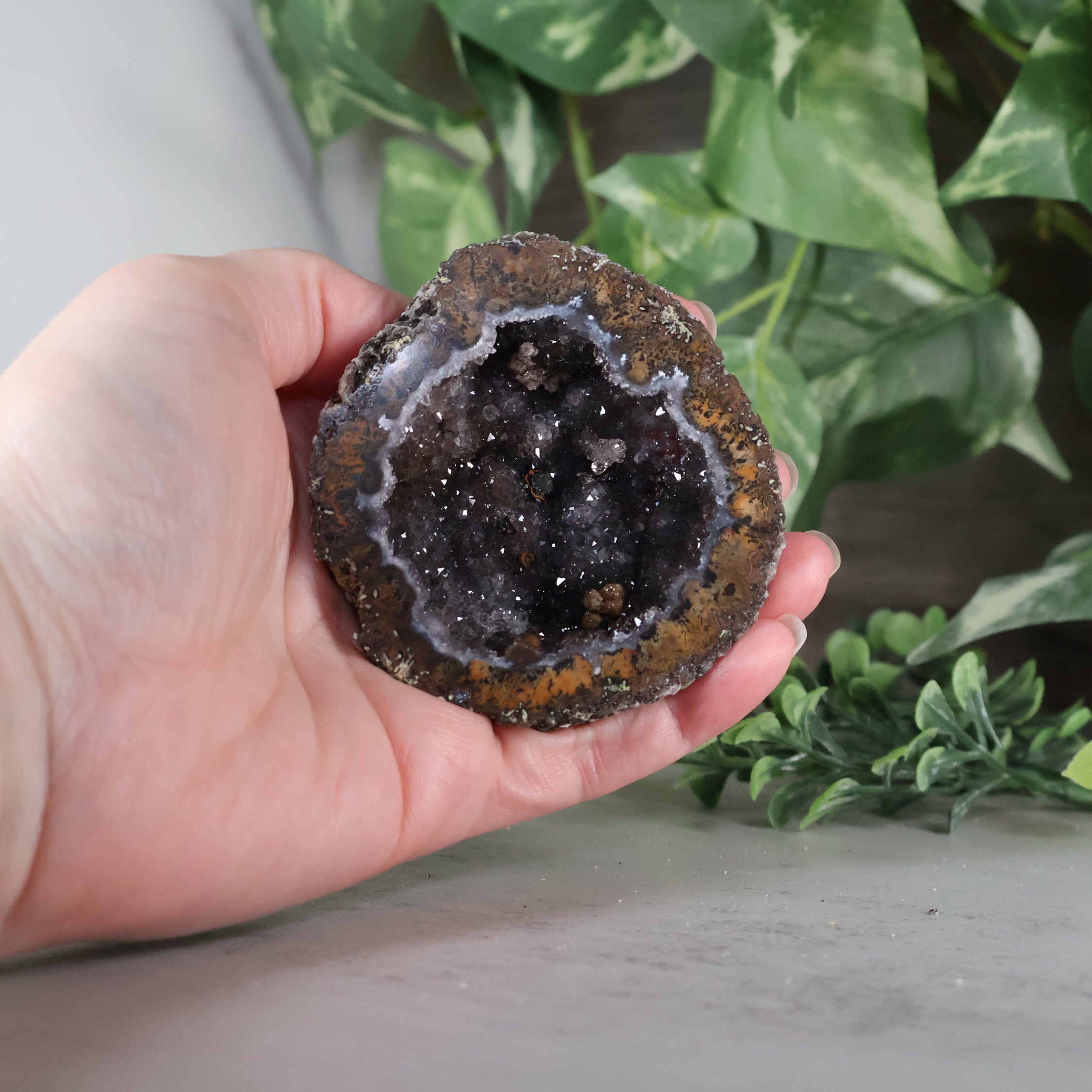 Las Choyas Coconut Geode - Sugar Quartz - Goethite