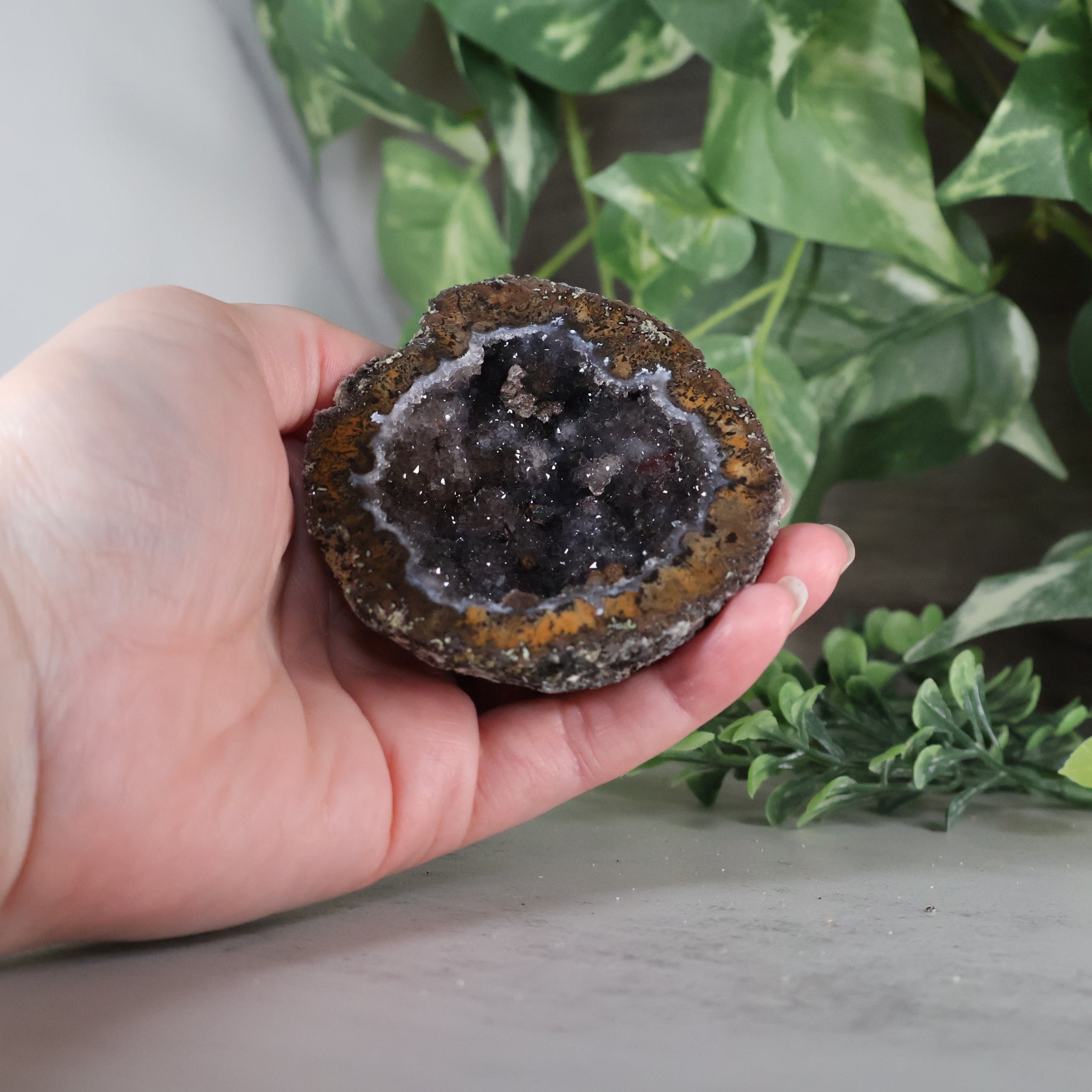 Las Choyas Coconut Geode - Sugar Quartz - Goethite
