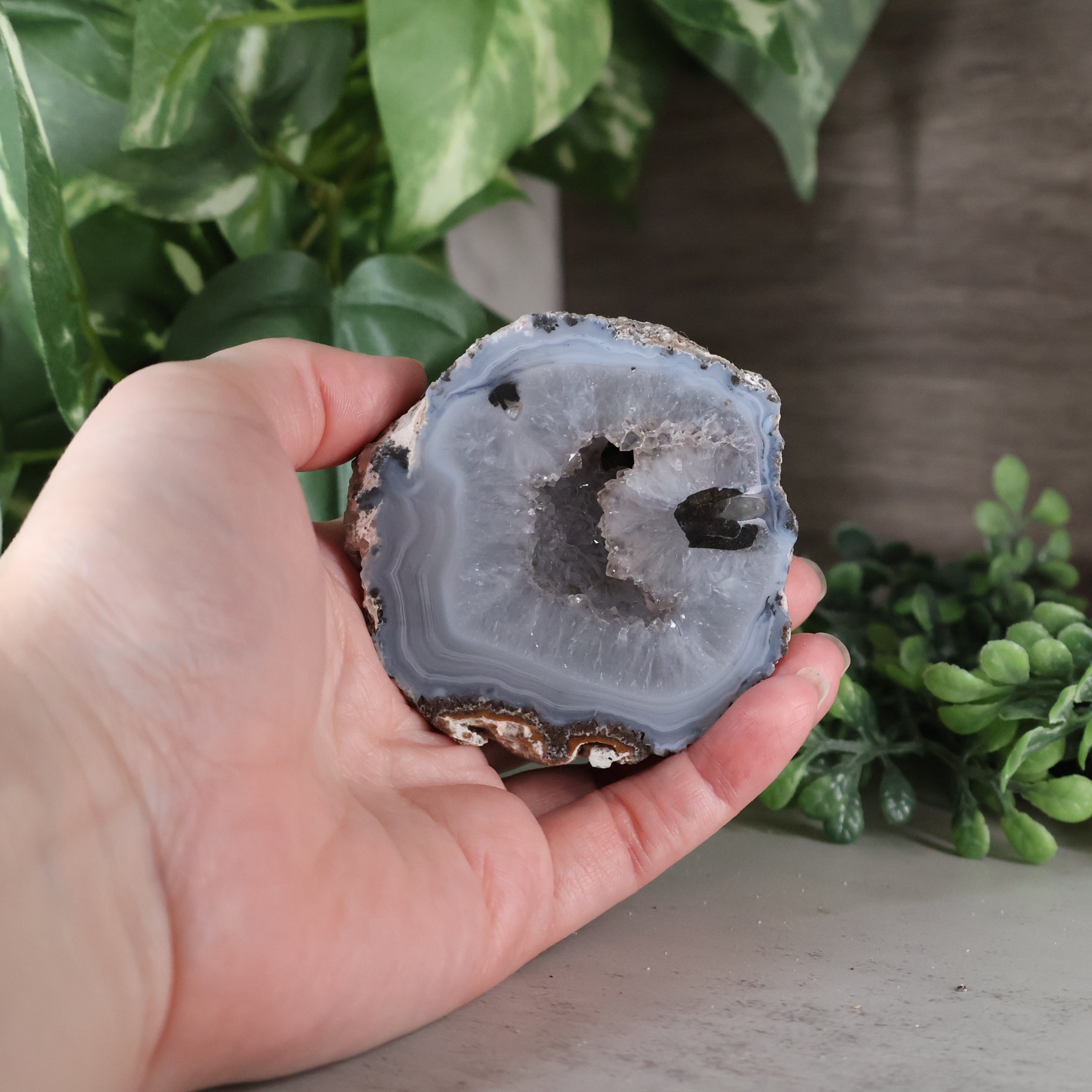 Coconut, Las Choyas Geode - "Don't Worry, Be Happy" - Blue Chalcedony, Parallax (35a)