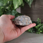 Coconut, Las Choyas Geode - "Don't Worry, Be Happy" - Blue Chalcedony, Parallax (35a)