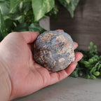 Coconut, Las Choyas Geode - "Don't Worry, Be Happy" - Blue Chalcedony, Parallax (35a)