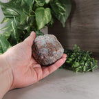 Coconut, Las Choyas Geode - "Smokey Sugar Moon" - Blue Chalcedony, Parallax (35b)