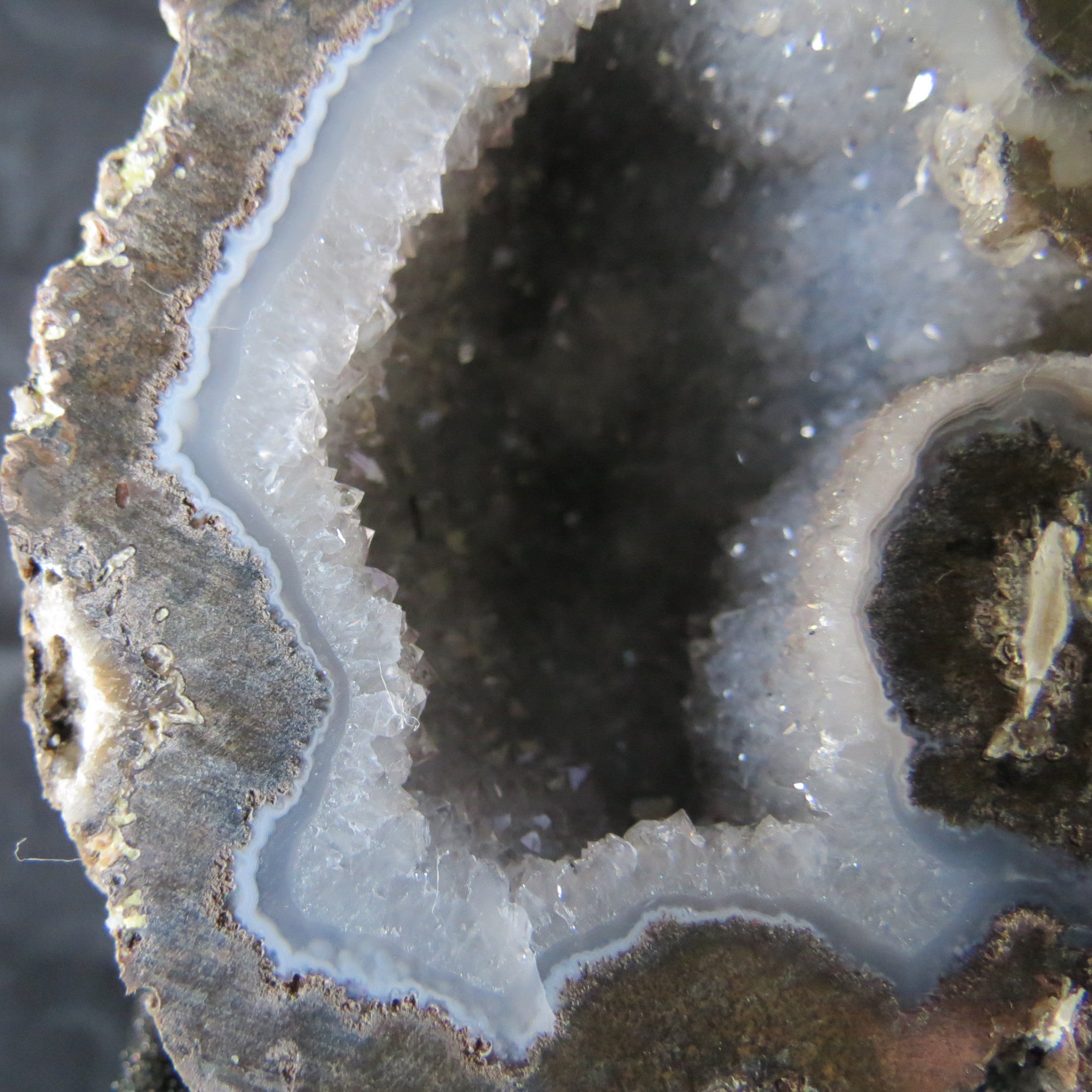 Las Choyas Coconut Geode - Smokey Quartz & Light Blue Agate Banding