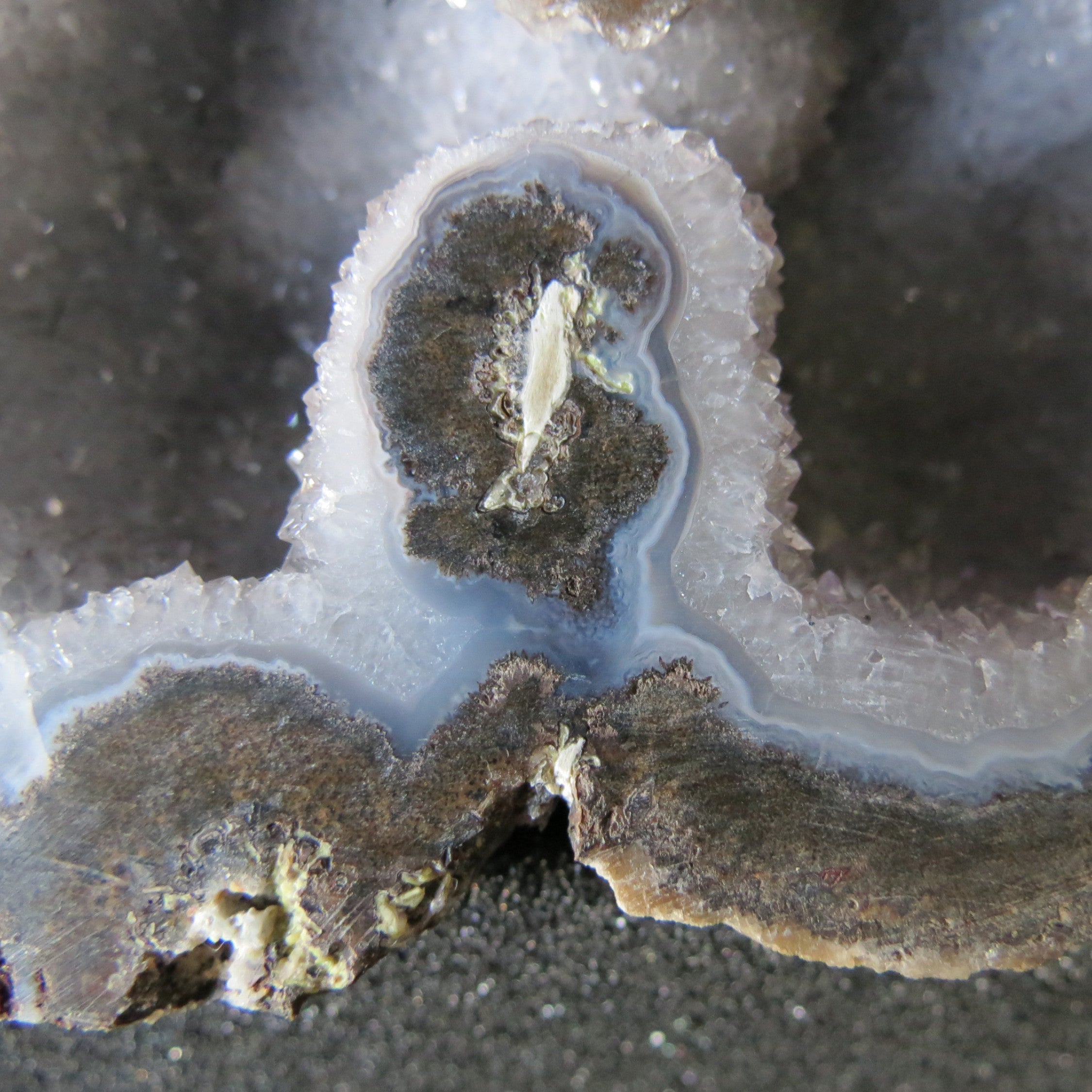 Las Choyas Coconut Geode - Smokey Quartz & Light Blue Agate Banding