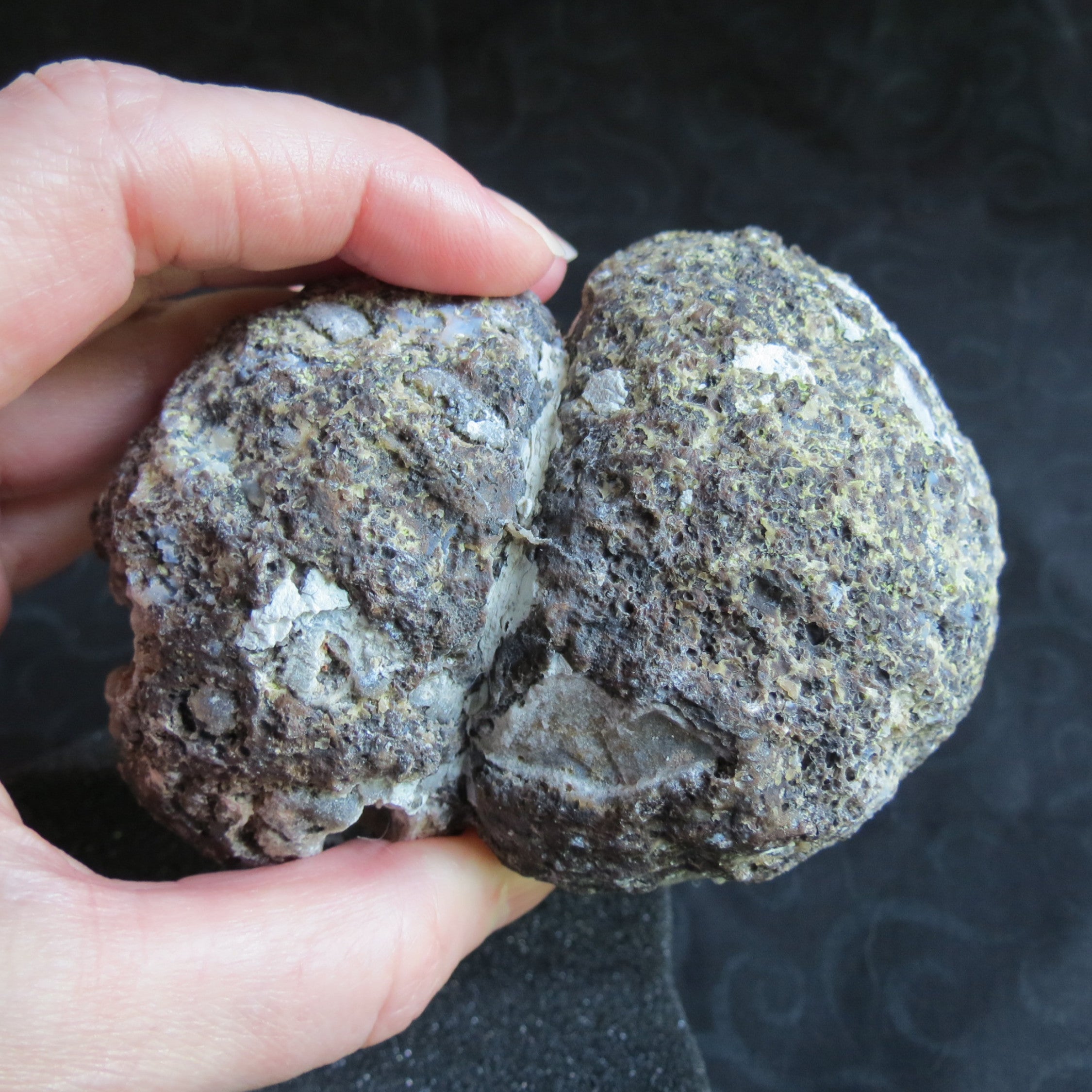 Las Choyas Coconut Geode - Pagoda Calcite, Smokey Quartz & Light Blue Agate Banding