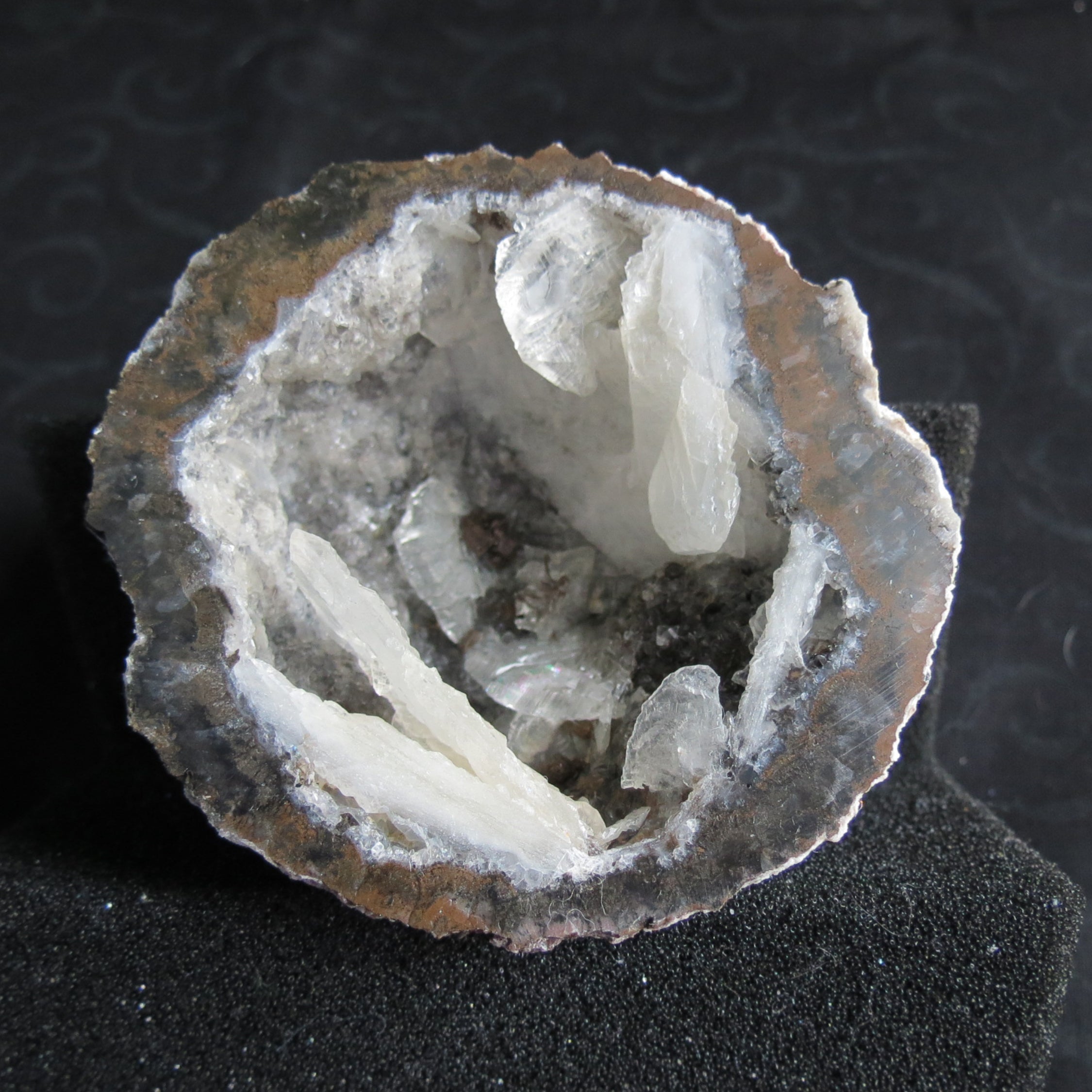 Coconut Geode - Coco8a - Calcite Plating, Angel Wings