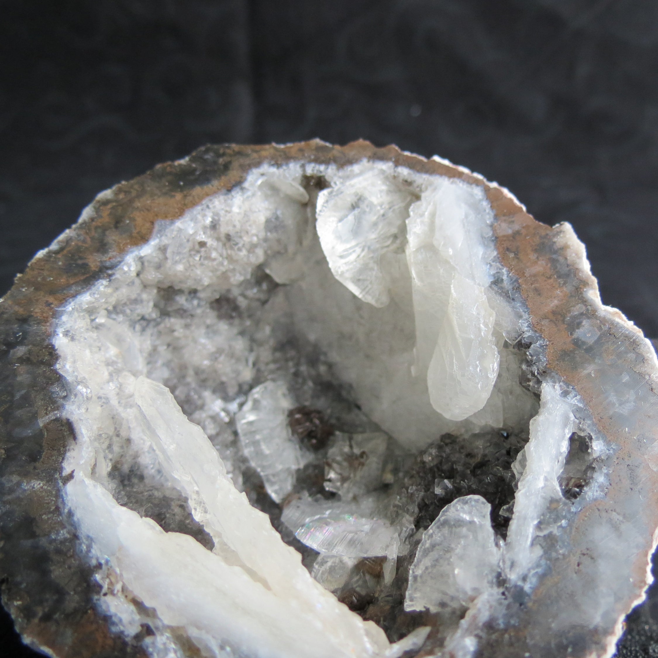 Coconut Geode - Coco8a - Calcite Plating, Angel Wings