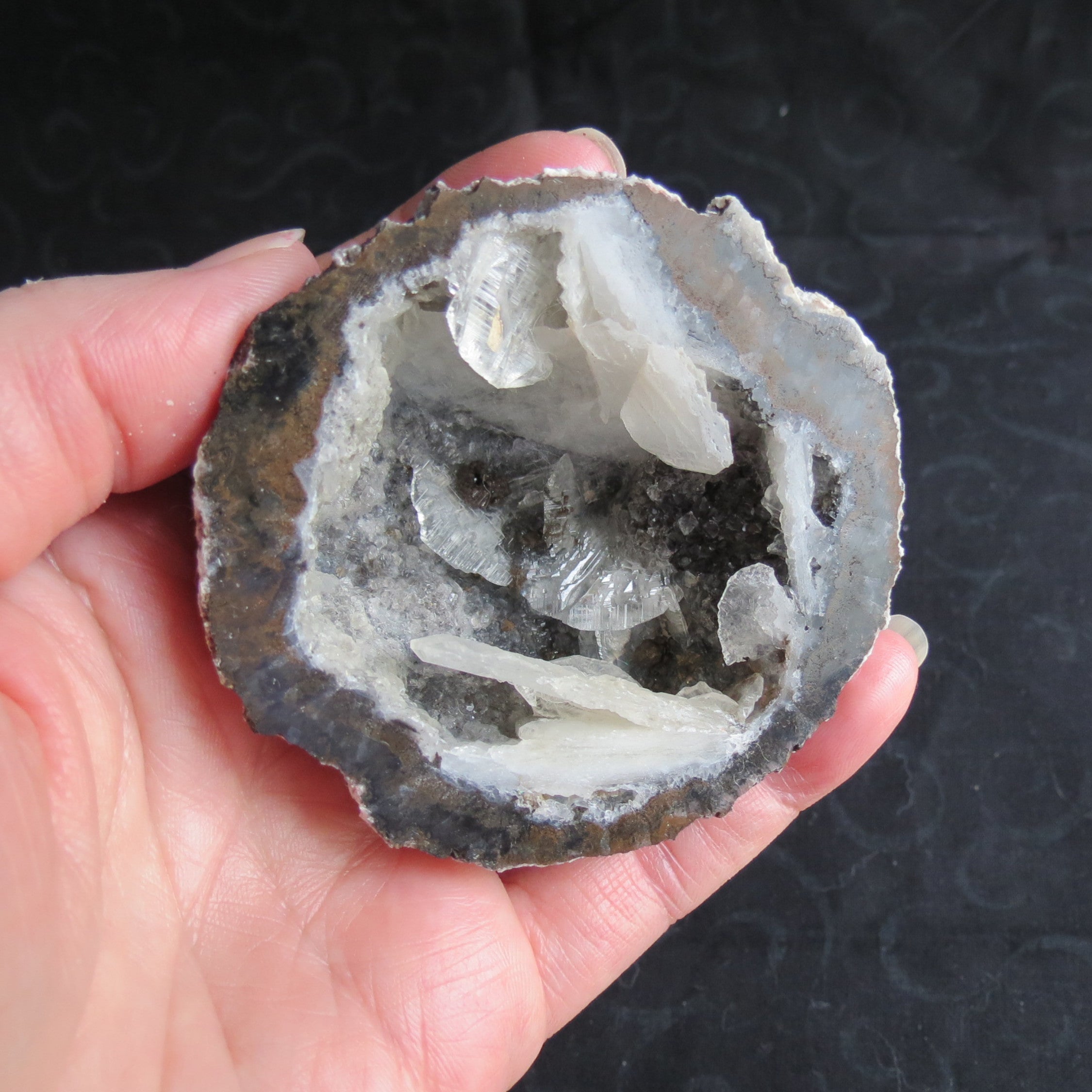 Coconut Geode - Coco8a - Calcite Plating, Angel Wings