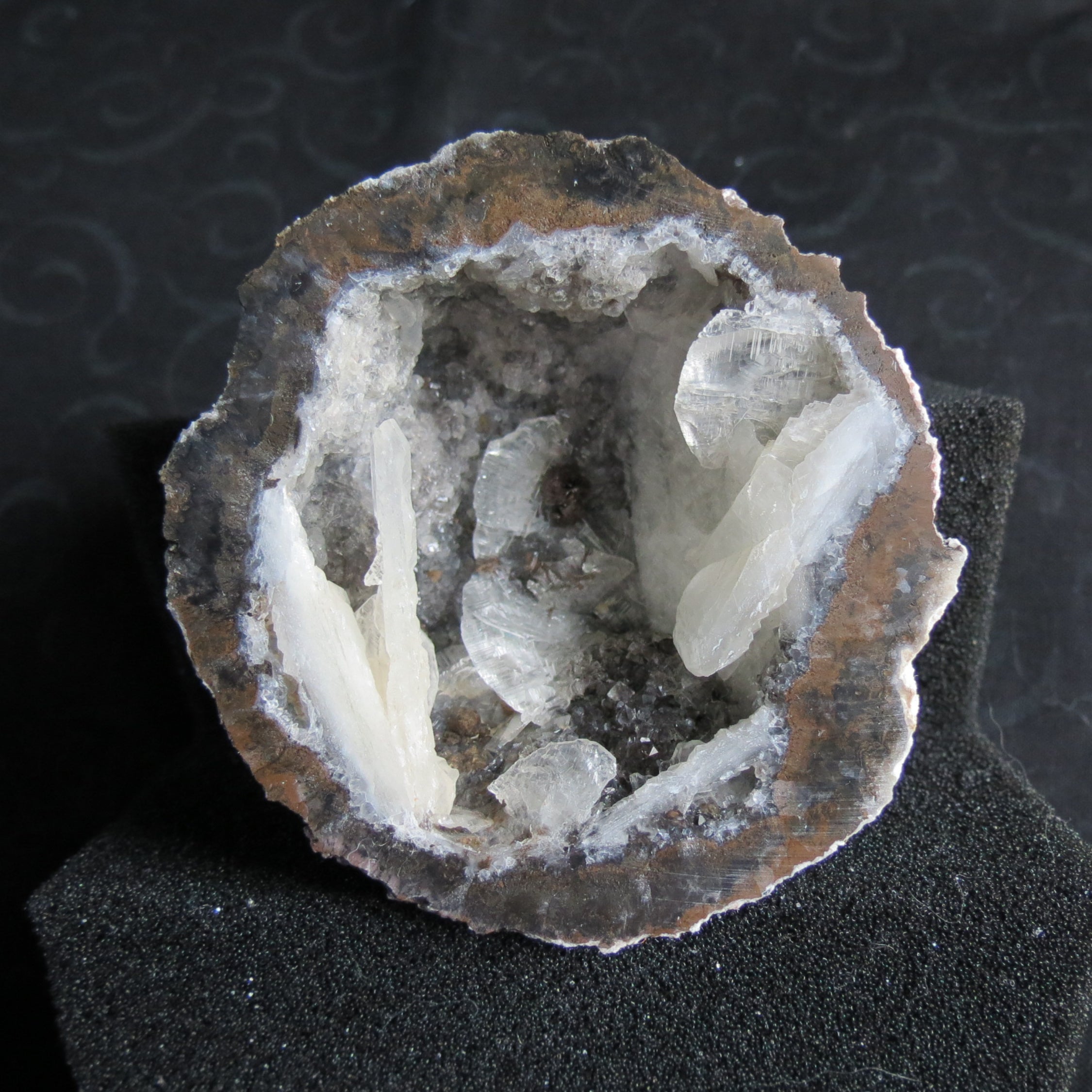 Coconut Geode - Coco8a - Calcite Plating, Angel Wings