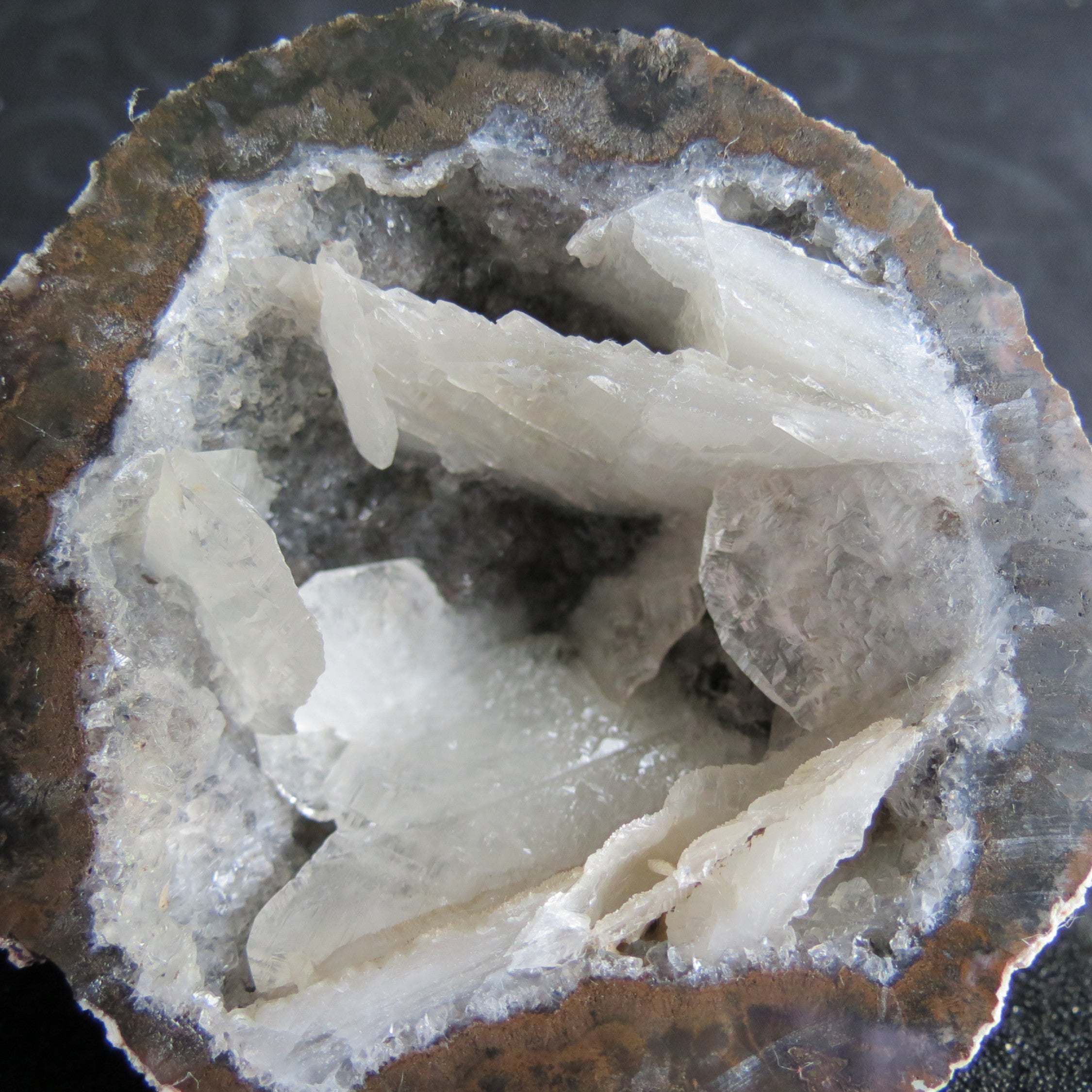 Coconut Geode - Coco8b - Calcite Plating, Angel Wings