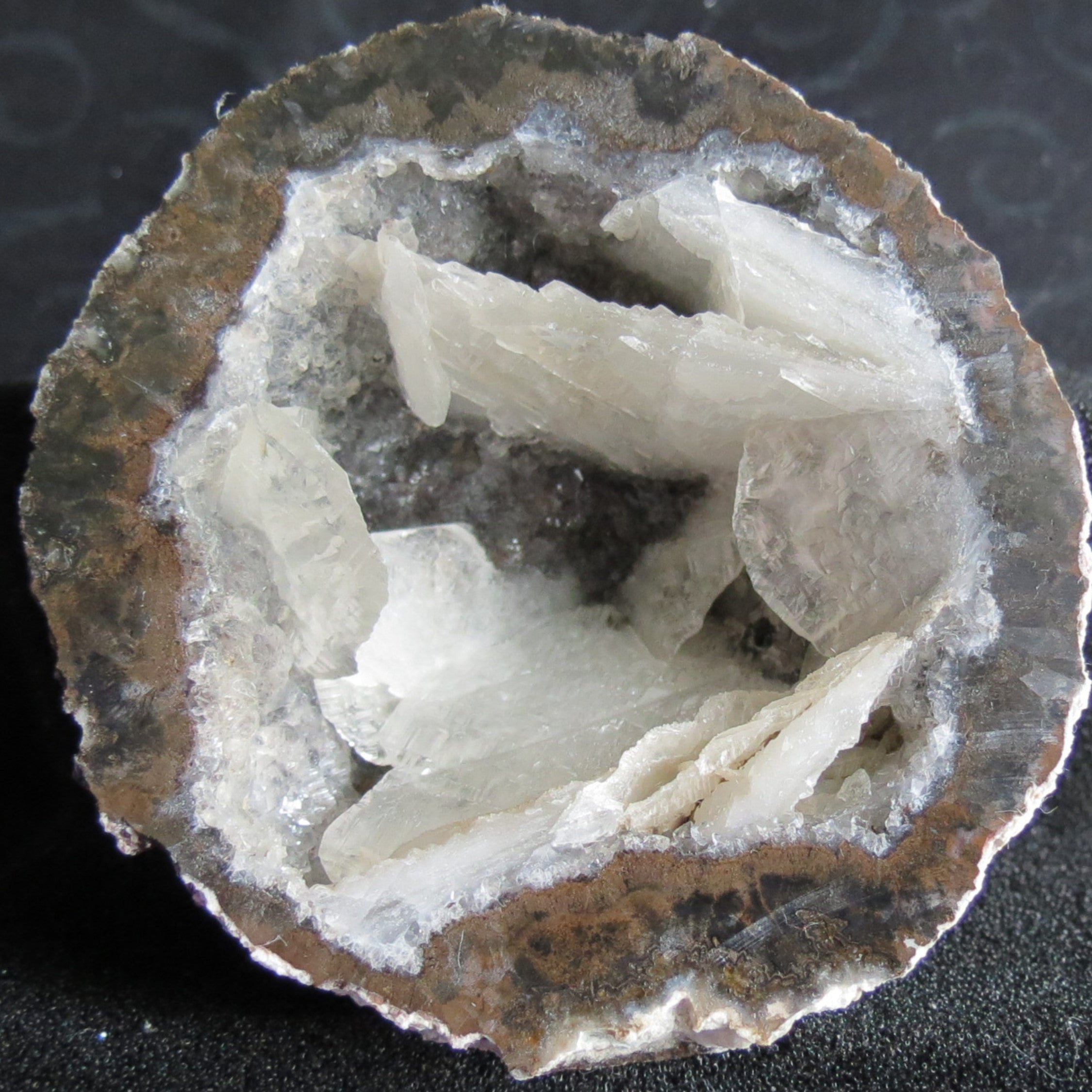 Coconut Geode - Coco8b - Calcite Plating, Angel Wings